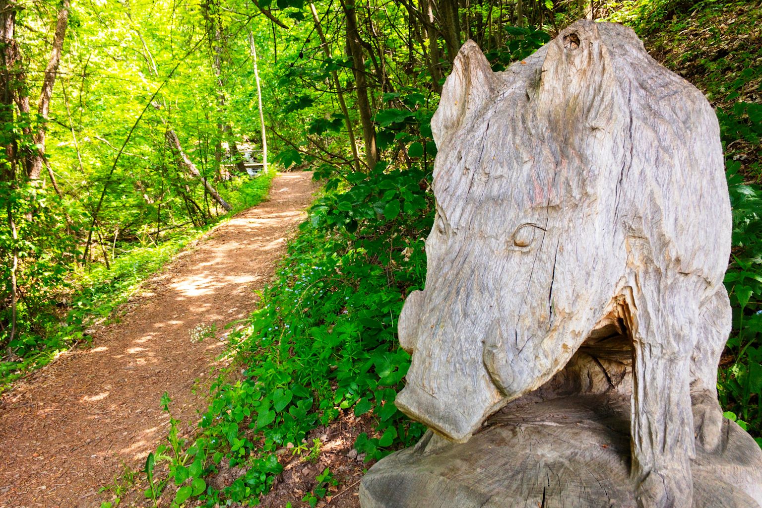 Bewundern Sie die ins Holz geschnitzte einheimische Tierwelt, Wallis, Schweiz