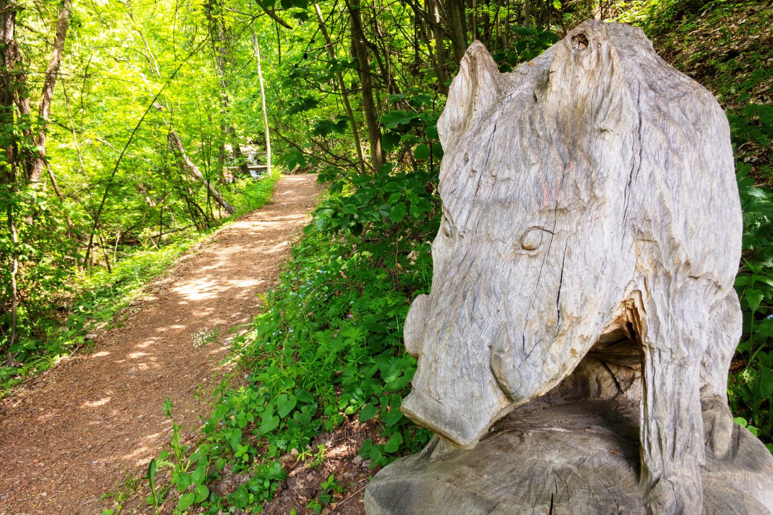 Admire the native wildlife carved into the wood, Valais, Switzerland