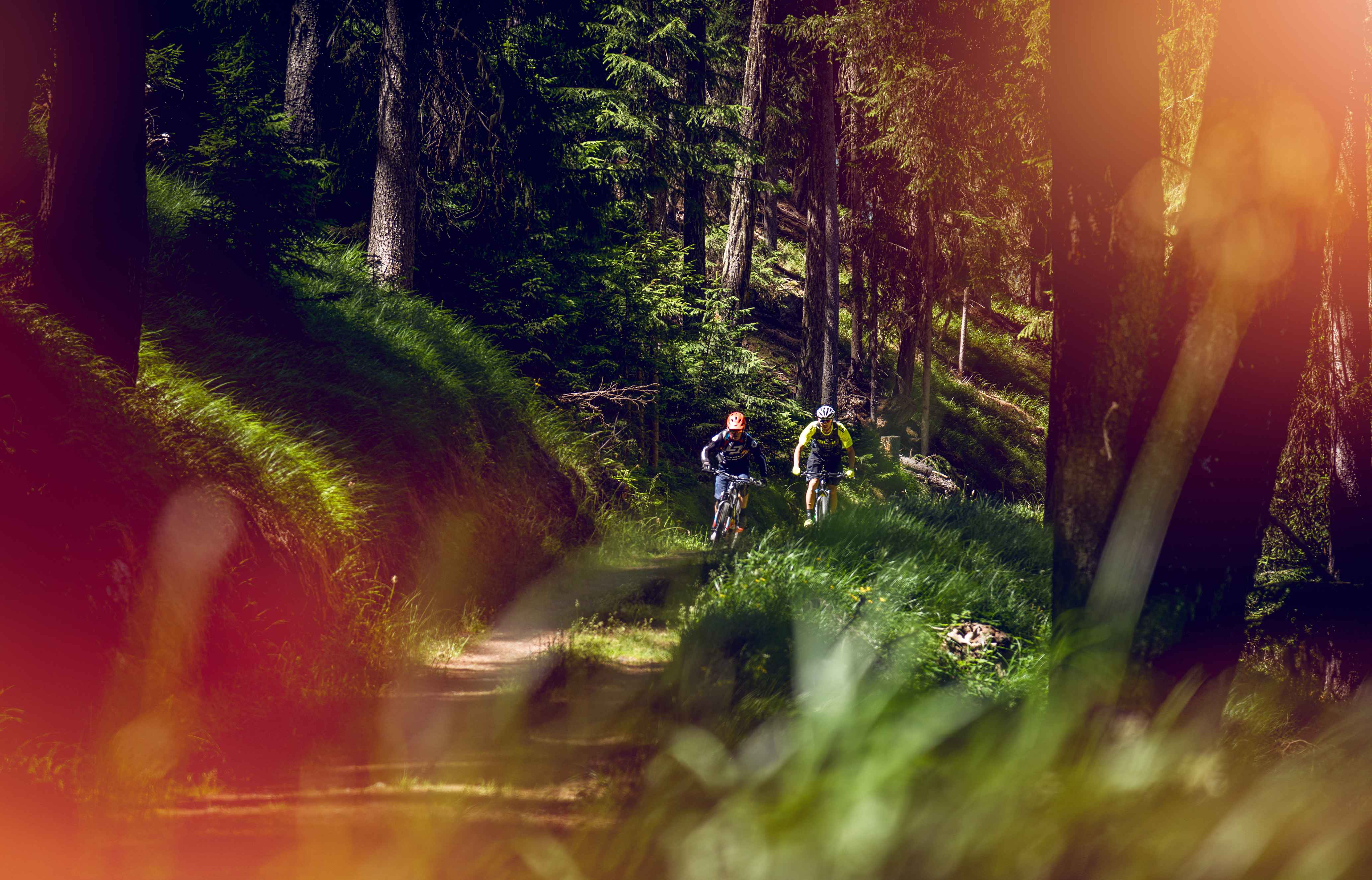 2 cylistes en e-bike dans la forêt, Valais Wallis Suisse