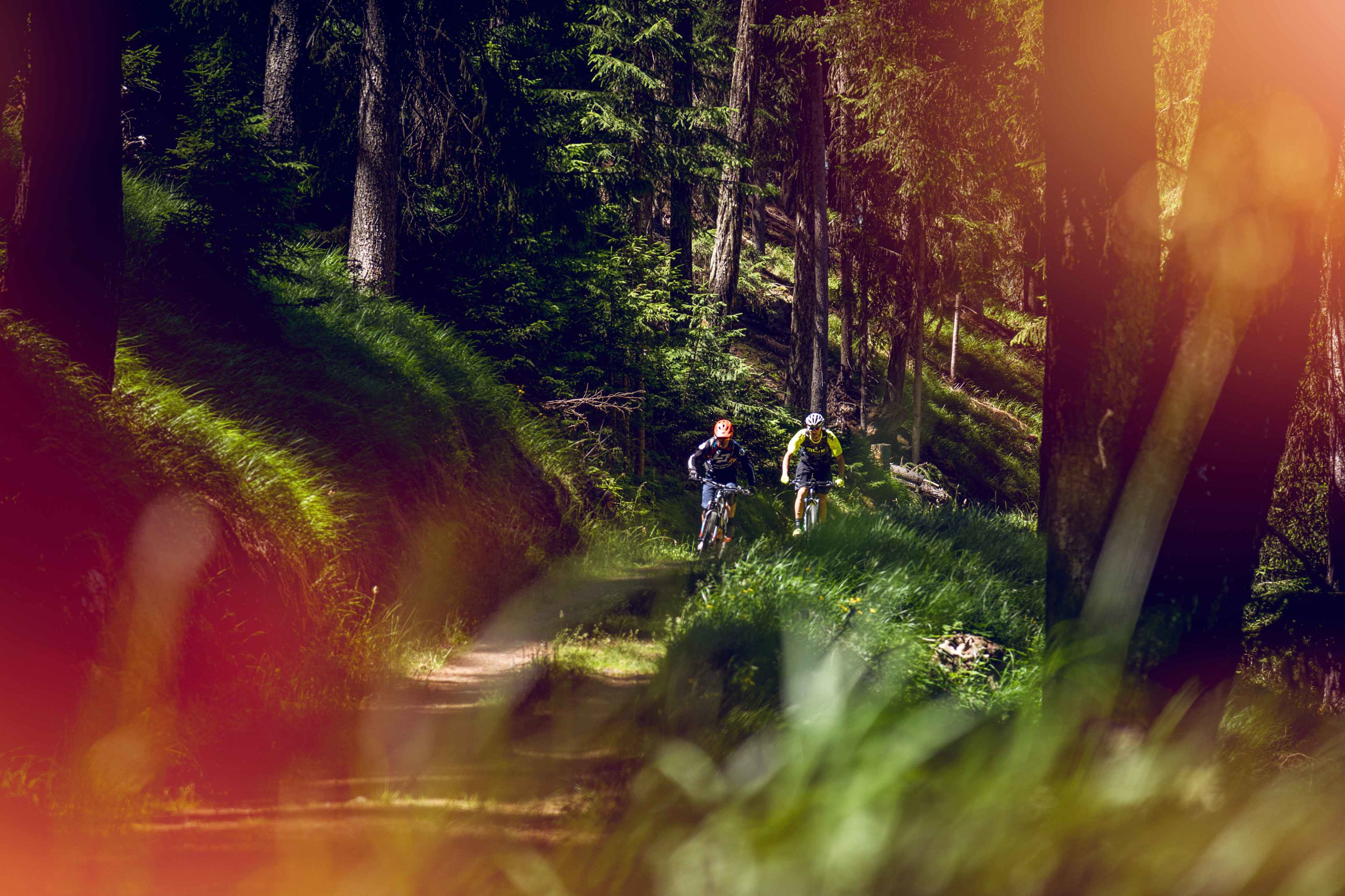 2 cylistes en e-bike dans la forêt, Valais Wallis Suisse