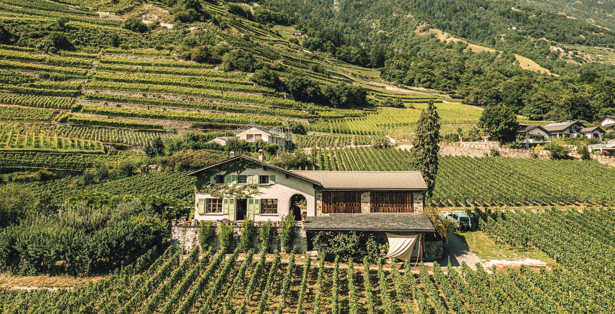 Der Weinkeller von Marie Thérèse Chappaz in den Weinbergen von Fully, Wallis, Schweiz