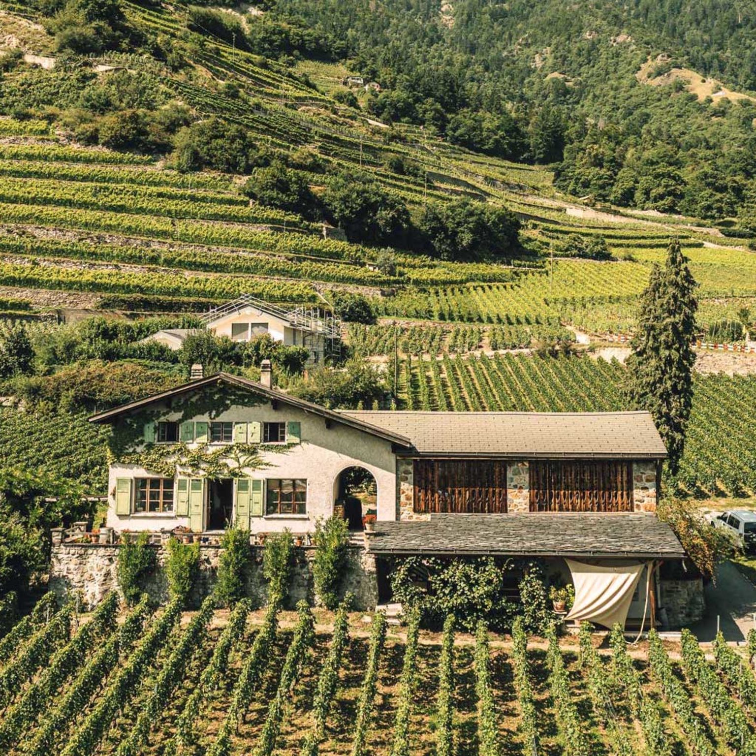 La cave de Marie Thérèse Chappaz dans le vignoble de Fully, Valais, Suisse
