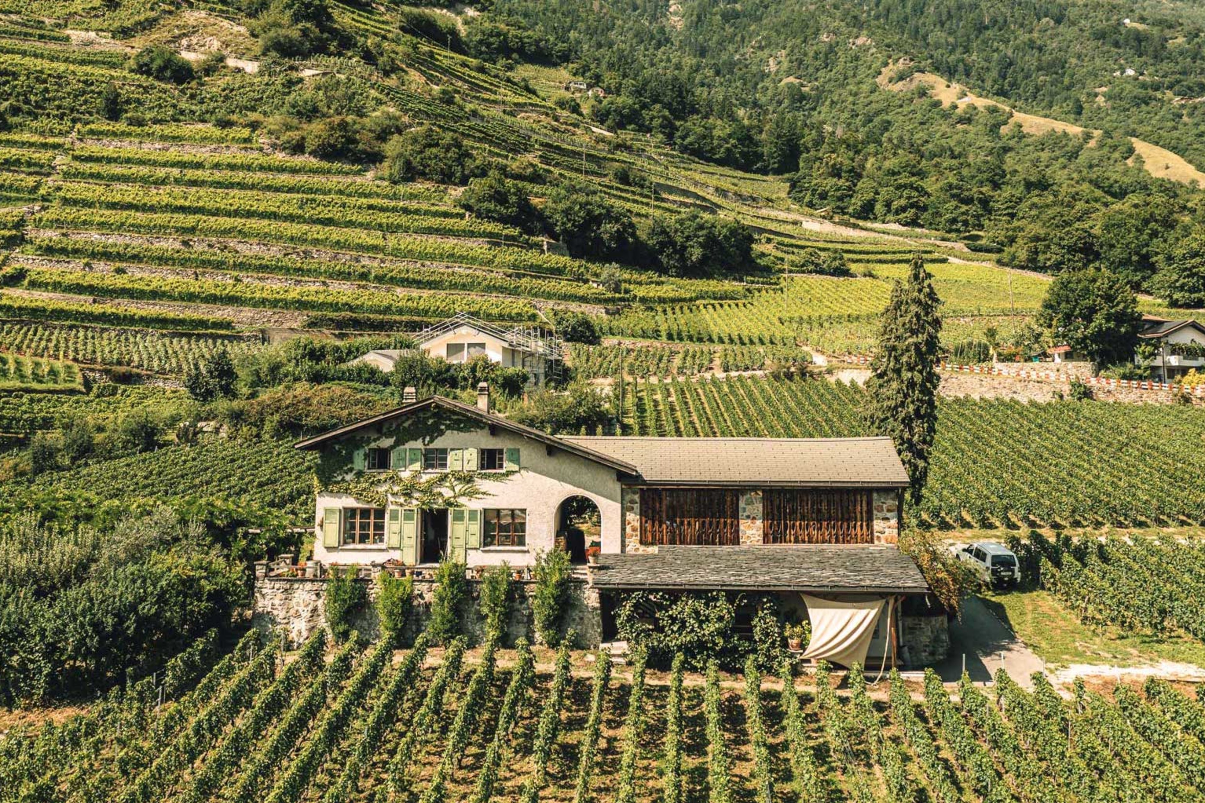 La cave de Marie Thérèse Chappaz dans le vignoble de Fully, Valais, Suisse