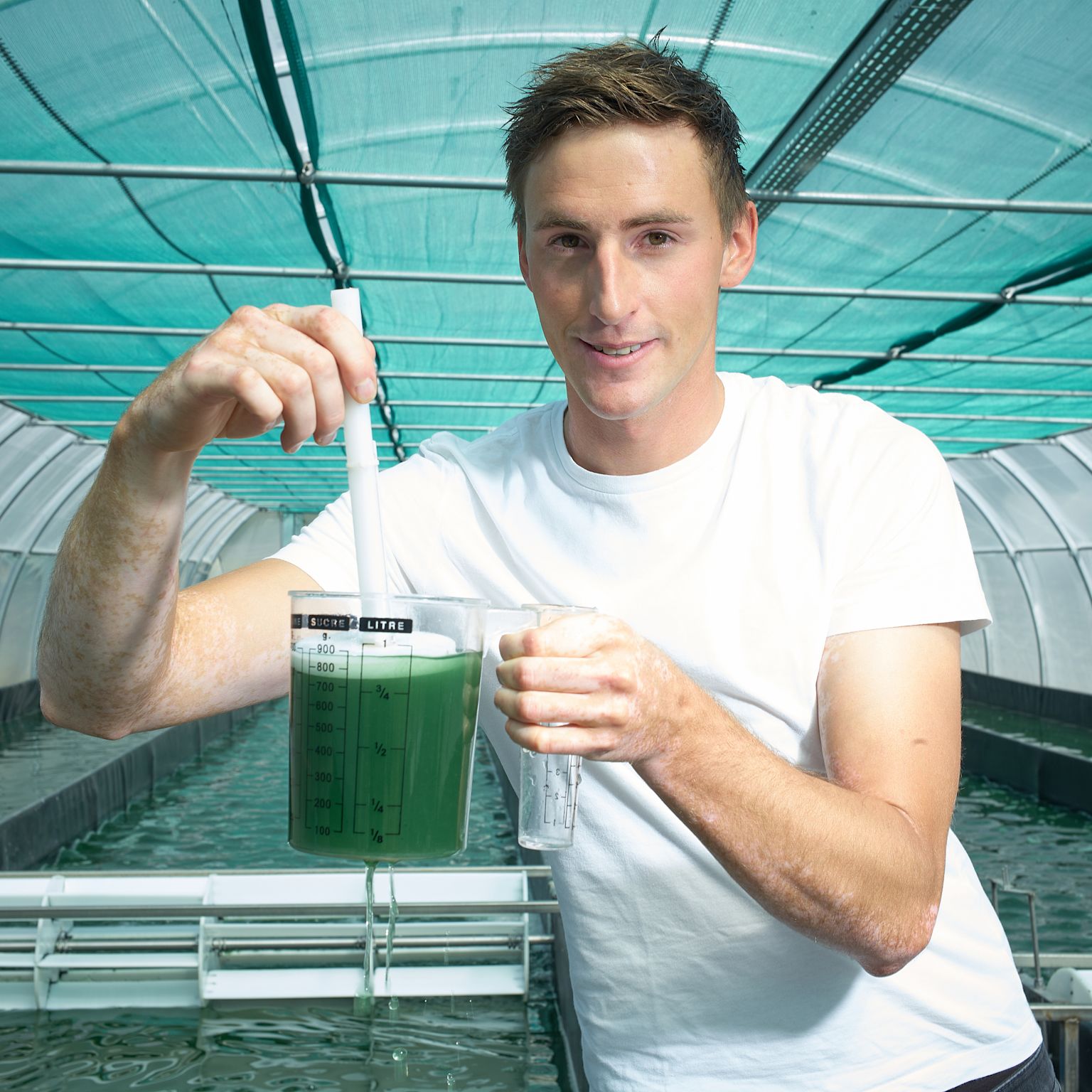 Robin Dorsaz, der einzige Spirulina-Produzent im Wallis bei der Arbeit, Walli, Schweiz