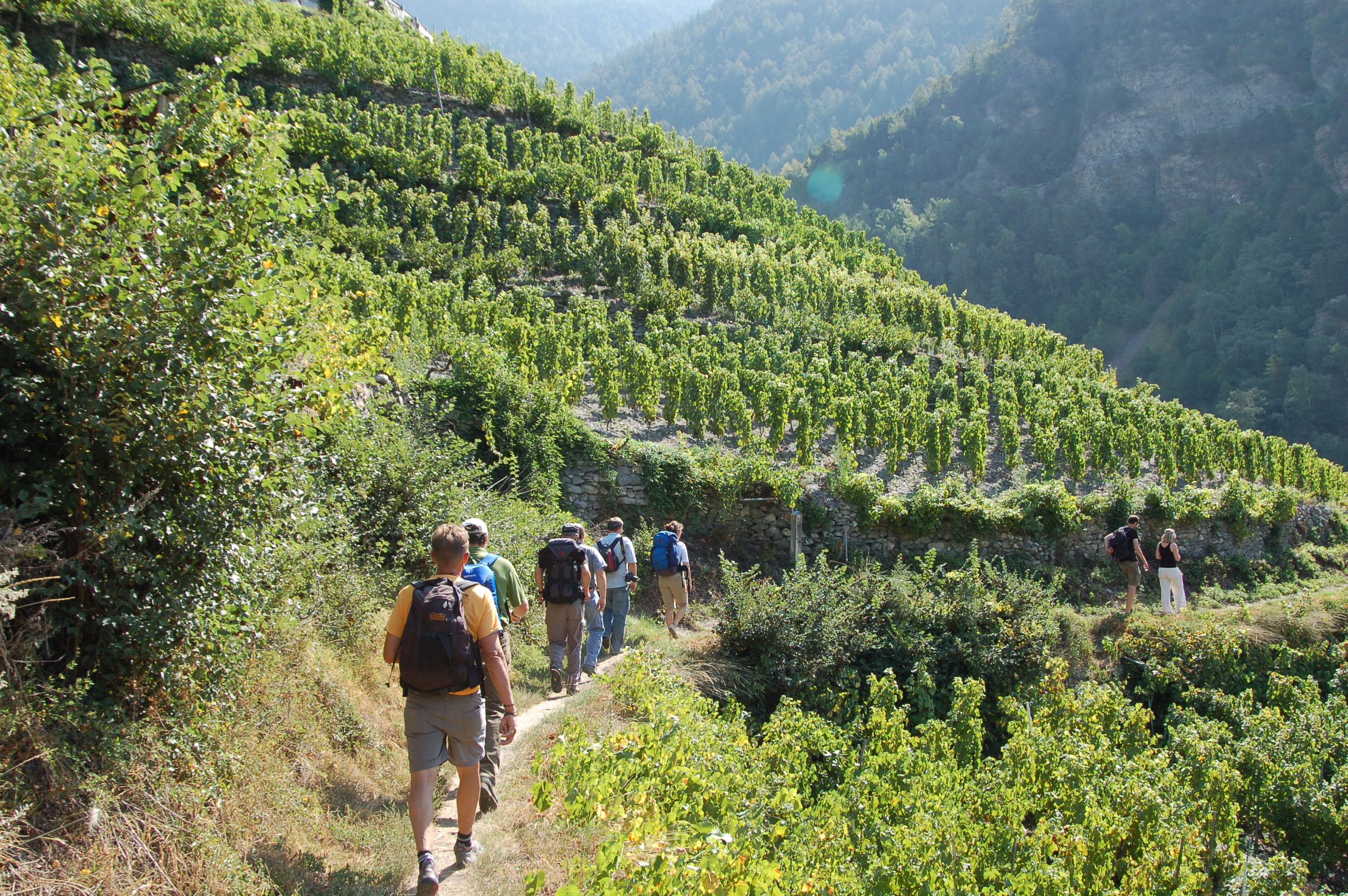 Heidaweg, Valais, hiking, summer, Visperterminen