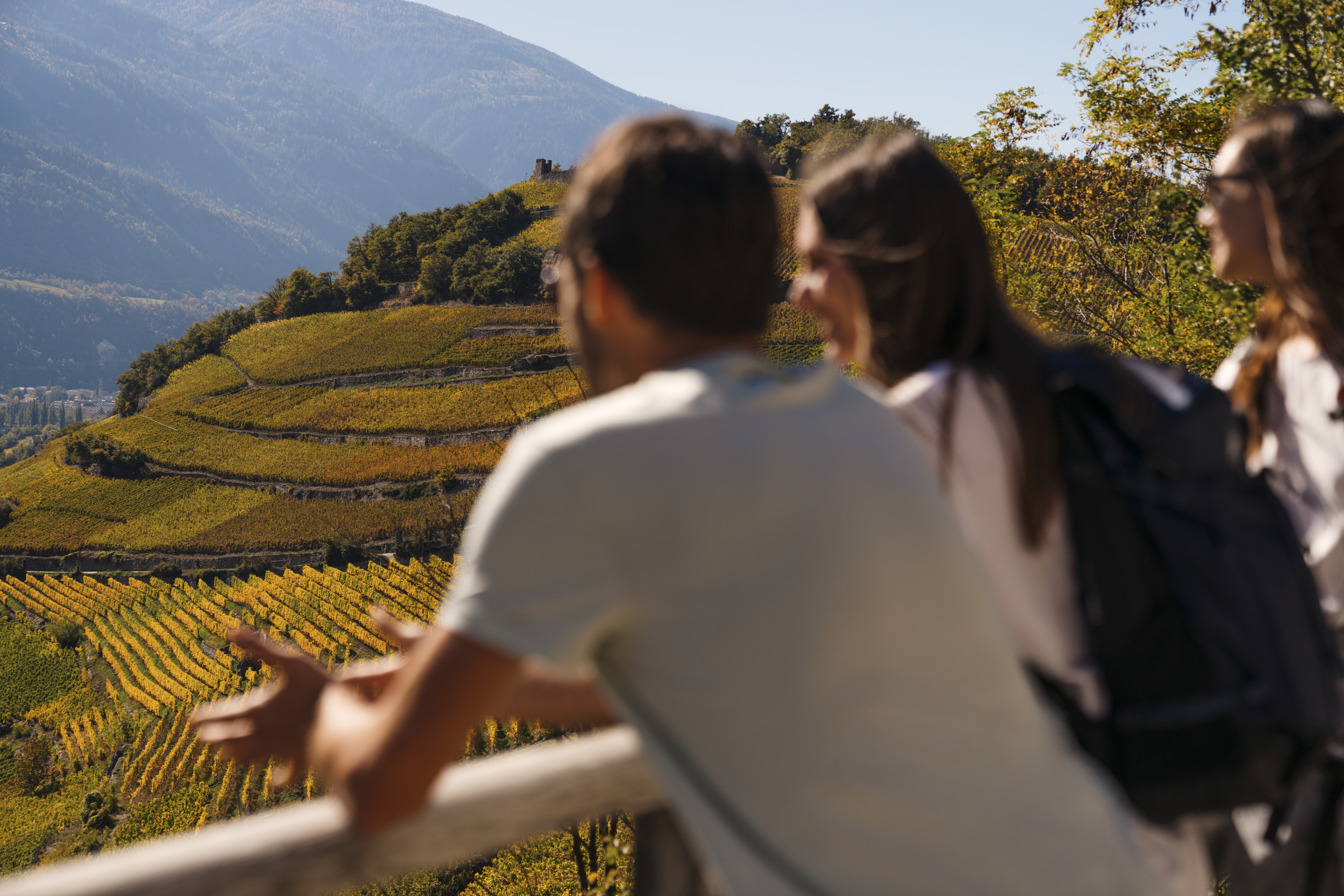 Trois randonneurs contemplant les vignobles en terrasses aux couleurs automnales dans la région de Sierre et Salquenen, Valais, Suisse