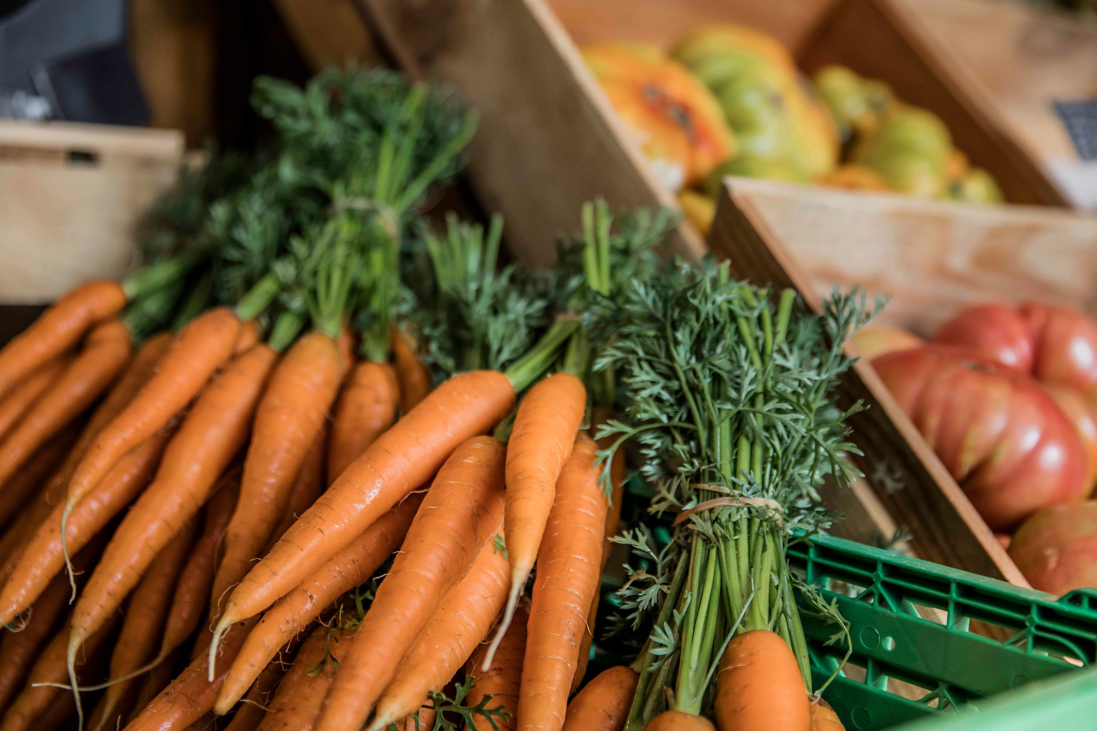Karroten von "La Potagère" in einem grünen Korb, Wallis, Schweiz