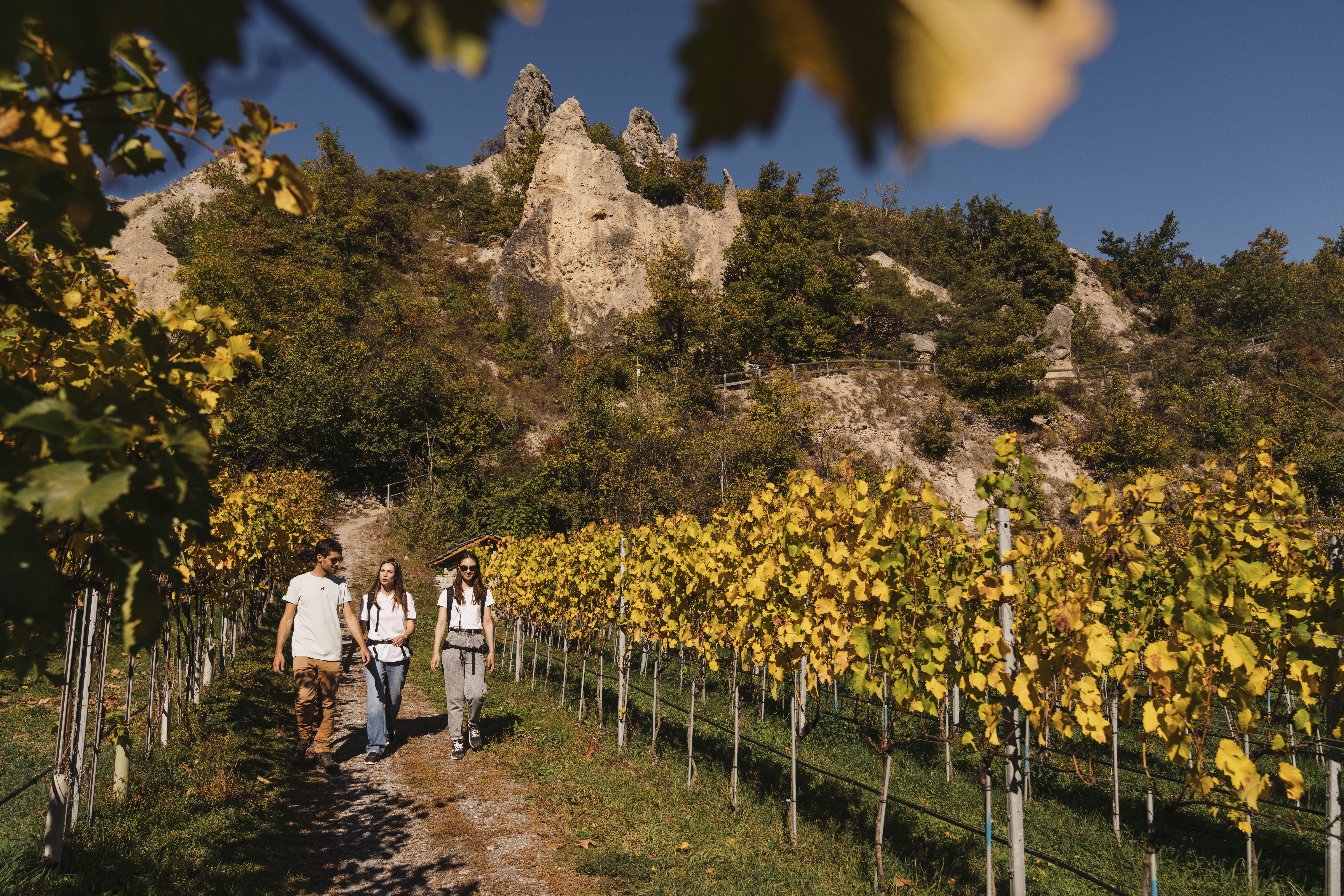 Trois personnes randonnant à travers les vignobles en automne avec des formations rocheuses remarquables dans la région de Sierre et Salquenen, Valais, Suisse