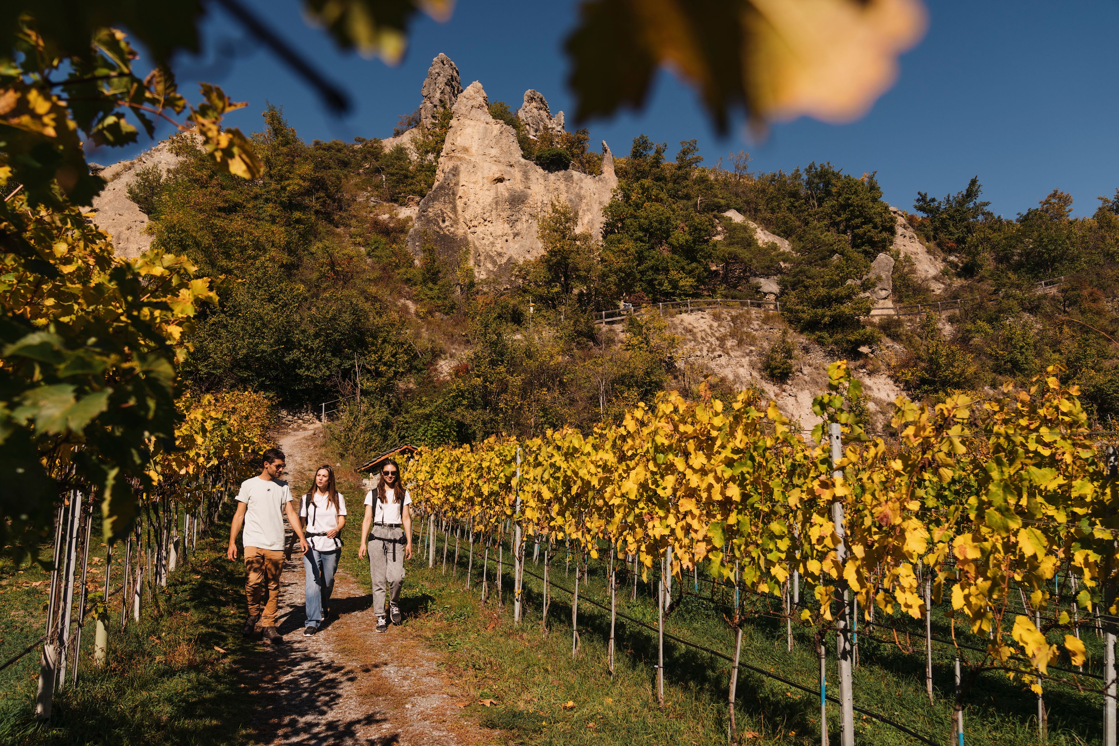 Trois personnes randonnant à travers les vignobles en automne avec des formations rocheuses remarquables dans la région de Sierre et Salquenen, Valais, Suisse