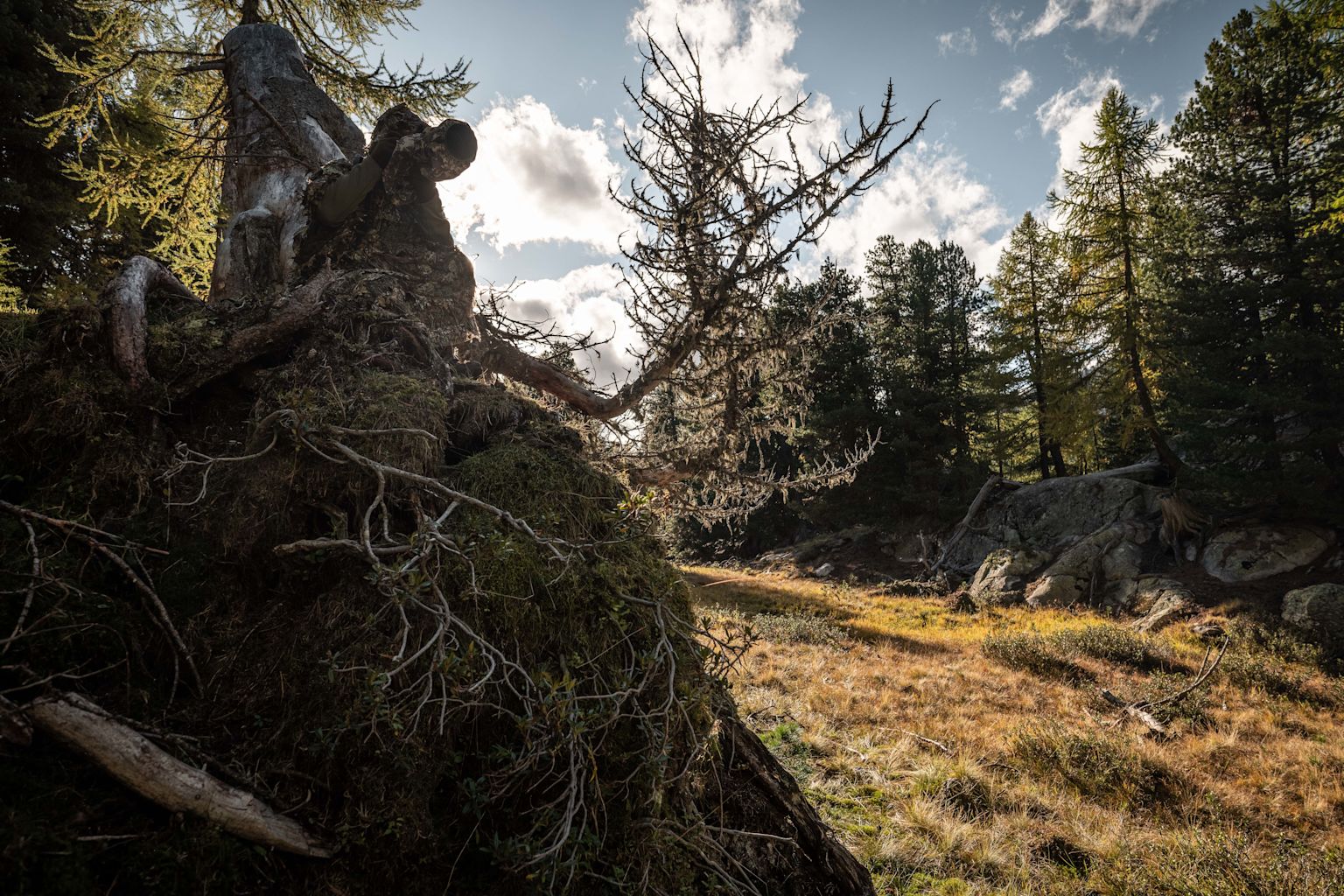 Marcel Grichting camouflaged on a hill while stalking, Valais, Switzerland
