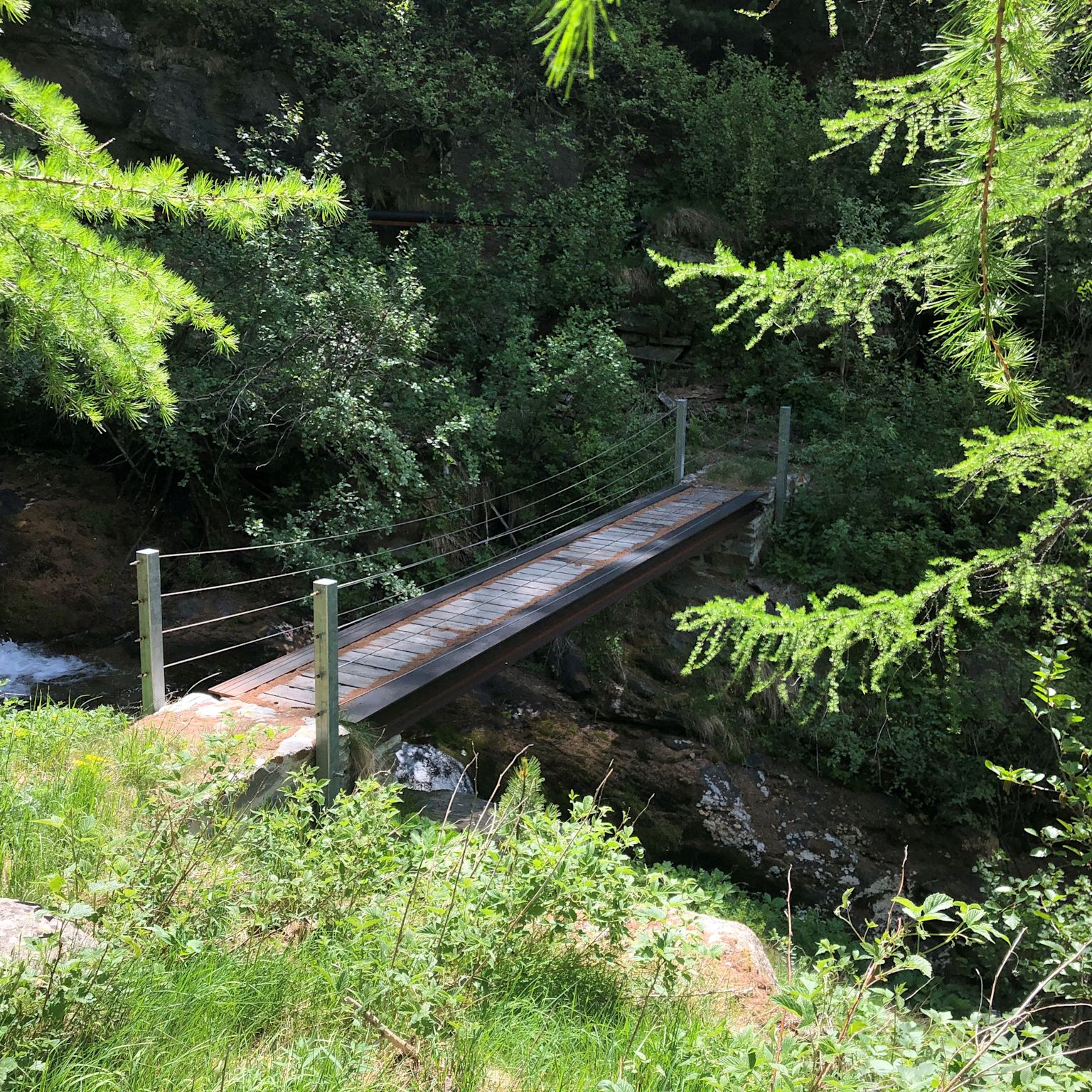 Small bridge over the Fellbach in the forest near Saas-Balen, along the Rittmal bisse, Valais, Switzerland