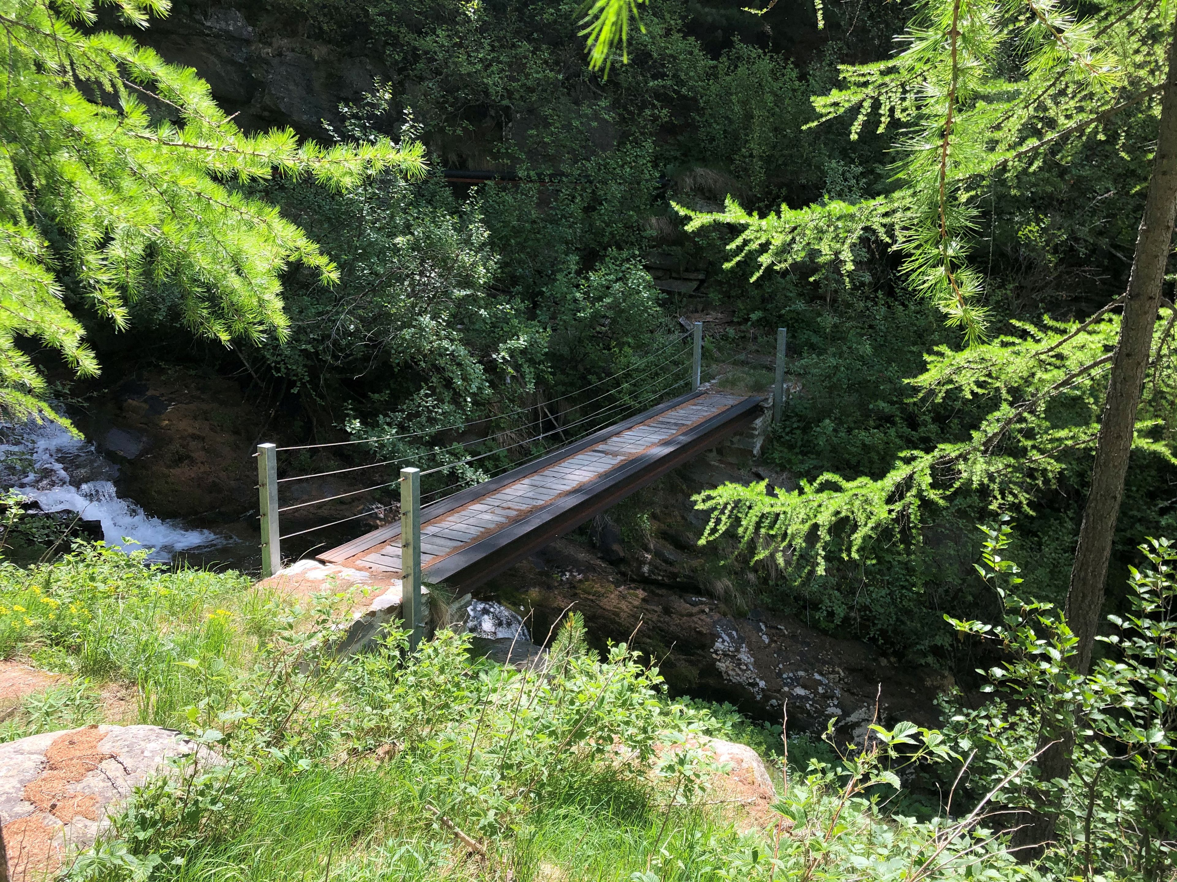 Kleiner Brücke über den Fellbach im Wald bei Saas-Balen, entlang der Suone Rittmal, Somer im Wallis, Schweiz