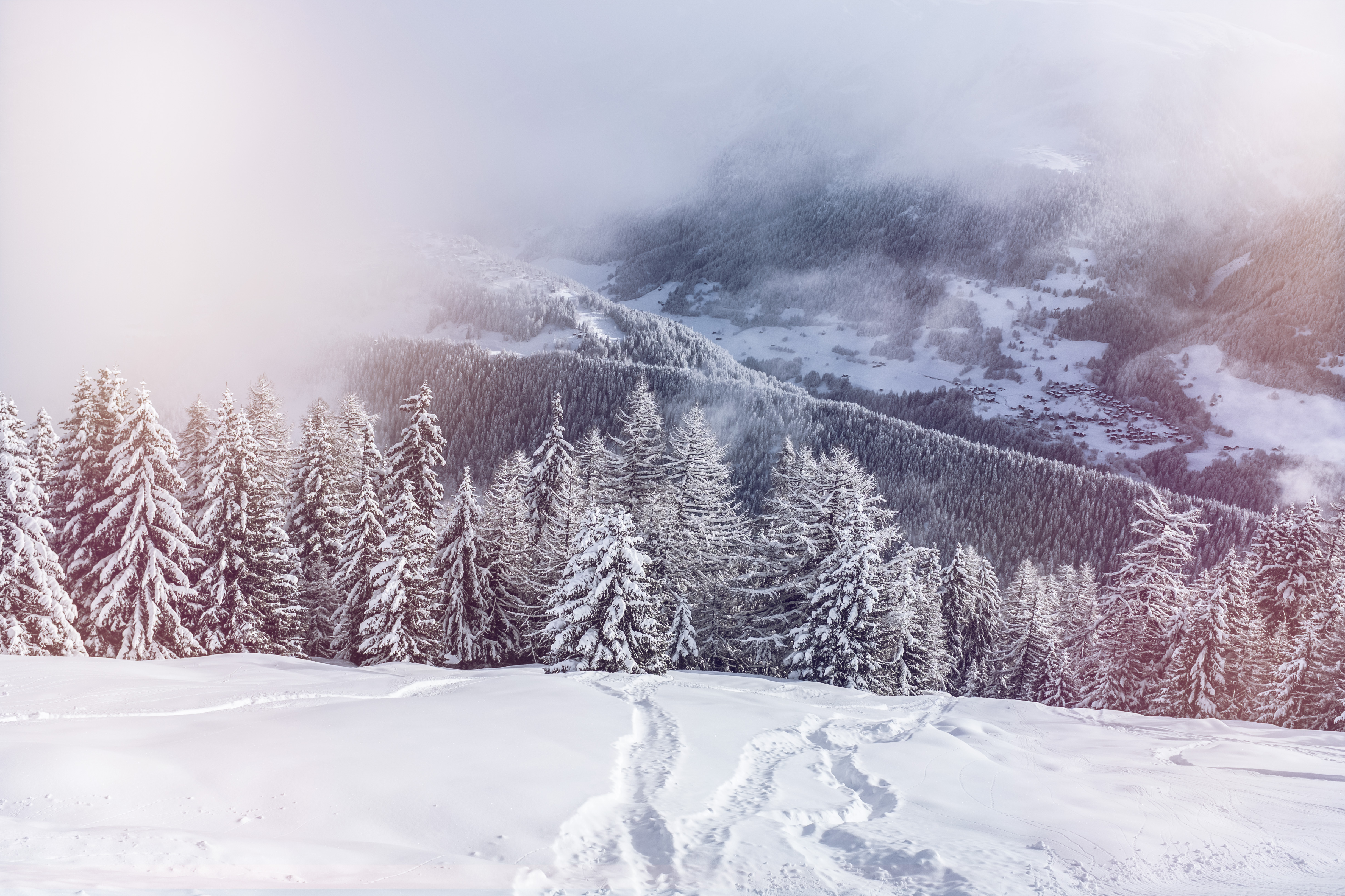 Spuren im Pulverschnee, Fiescheralp, Wallis