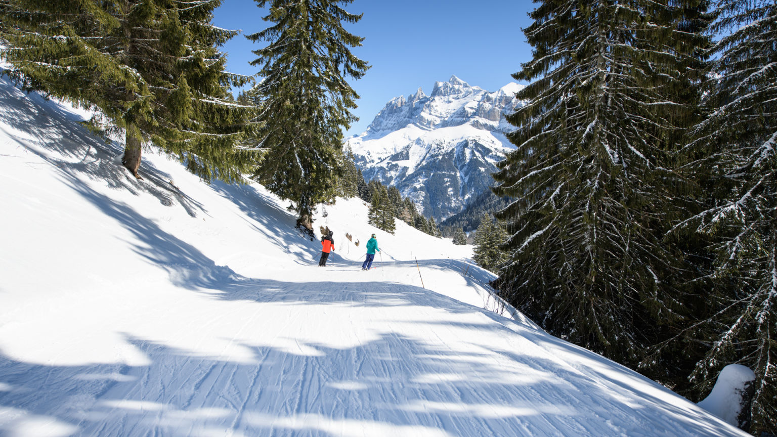 Two skiers going down the Ripaille - Grand Paradis ski run in a forest path in Champéry, Valais, Switzerland