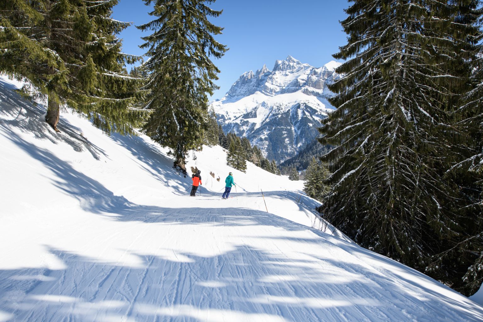 Zwei Skifahrer fahren die Skipiste Ripaille - Grand Paradis in einem Waldweg in Champéry, Wallis, Schweiz ab.