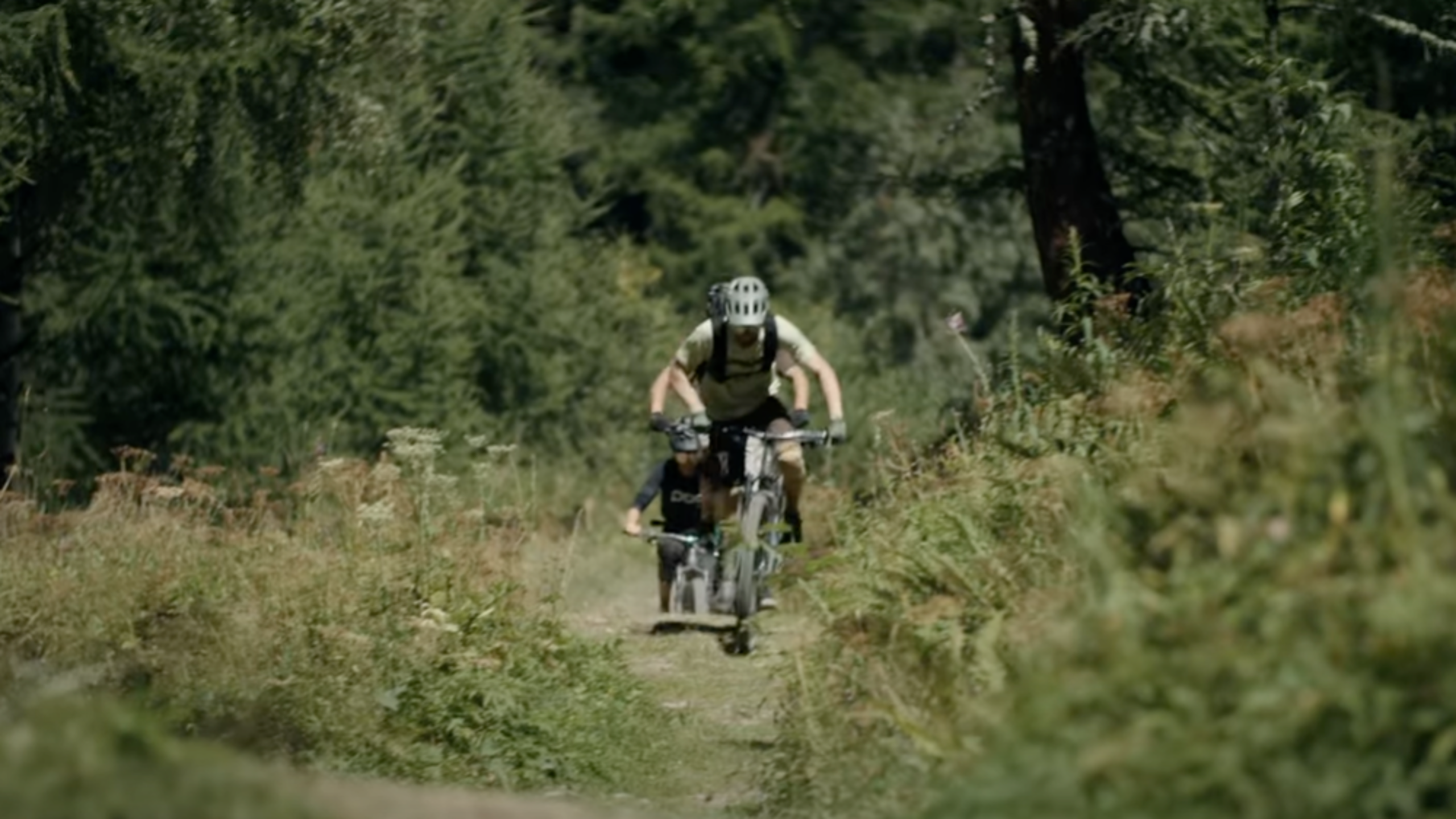 Two mountain bikers on the Valais Alpine Bike route between Brig and Blatten, Valais, Switzerland.