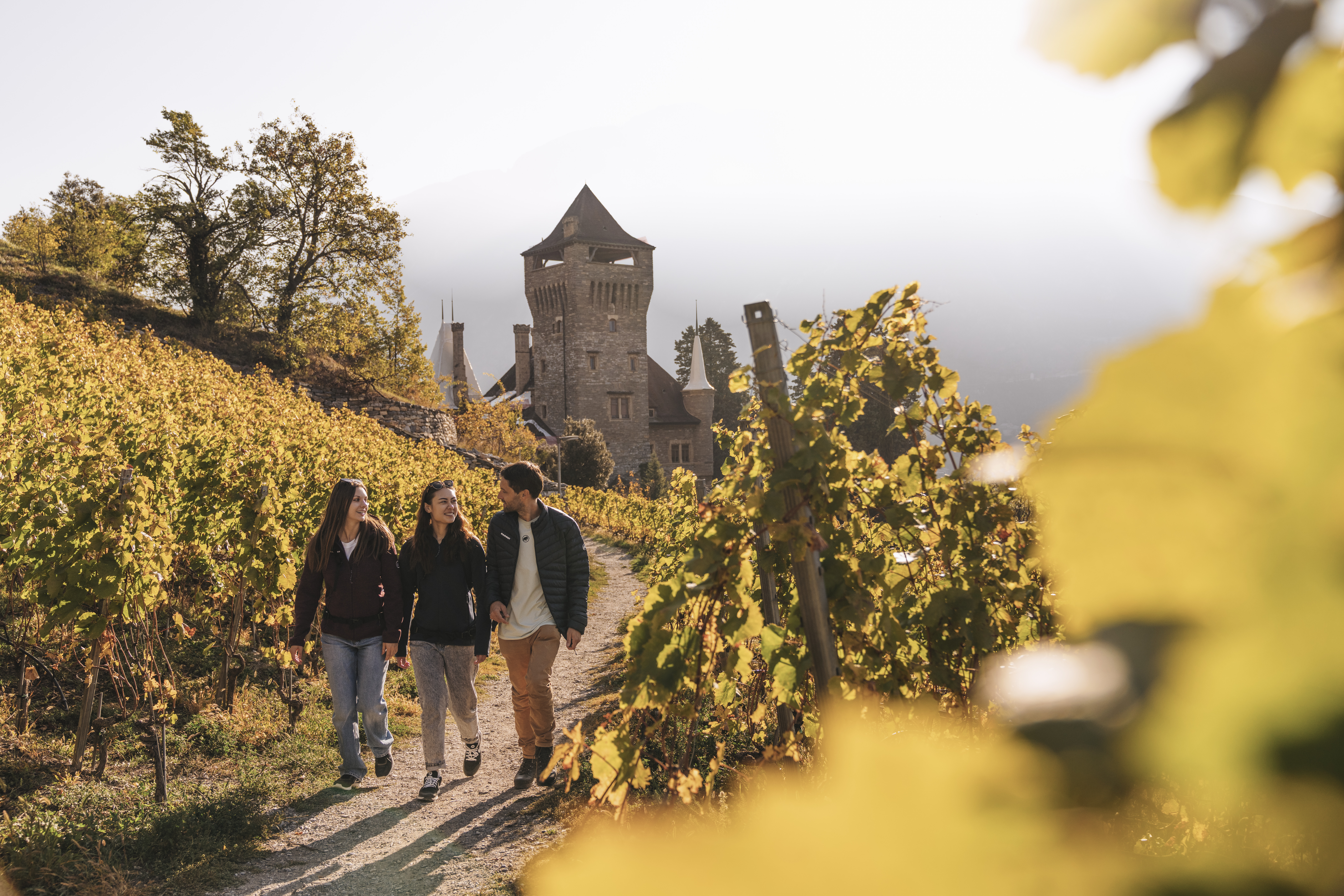 Trois personnes randonnant à travers les vignobles en automne avec un château en arrière-plan, Valais, Suisse
