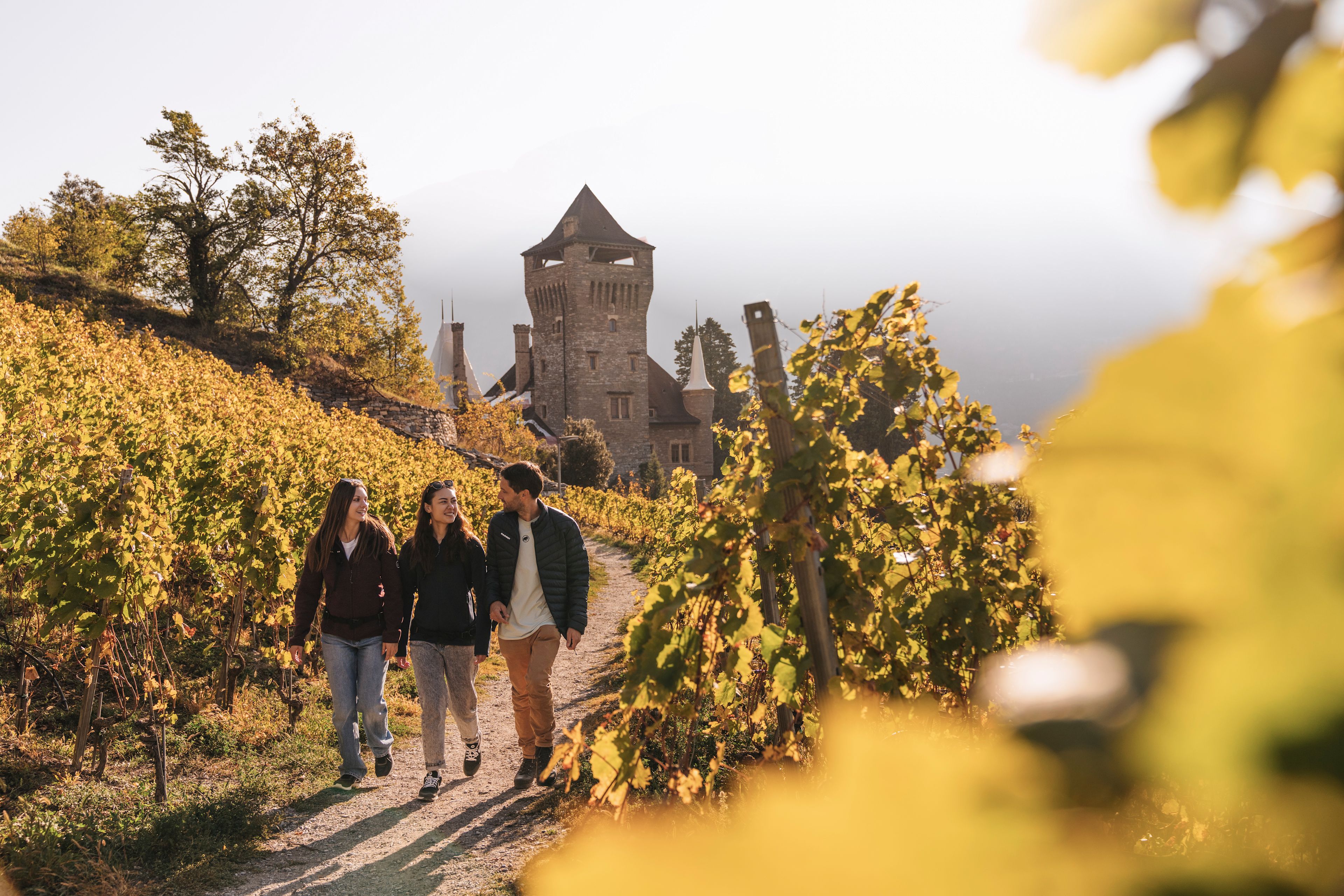 Trois personnes randonnant à travers les vignobles en automne avec un château en arrière-plan, Valais, Suisse