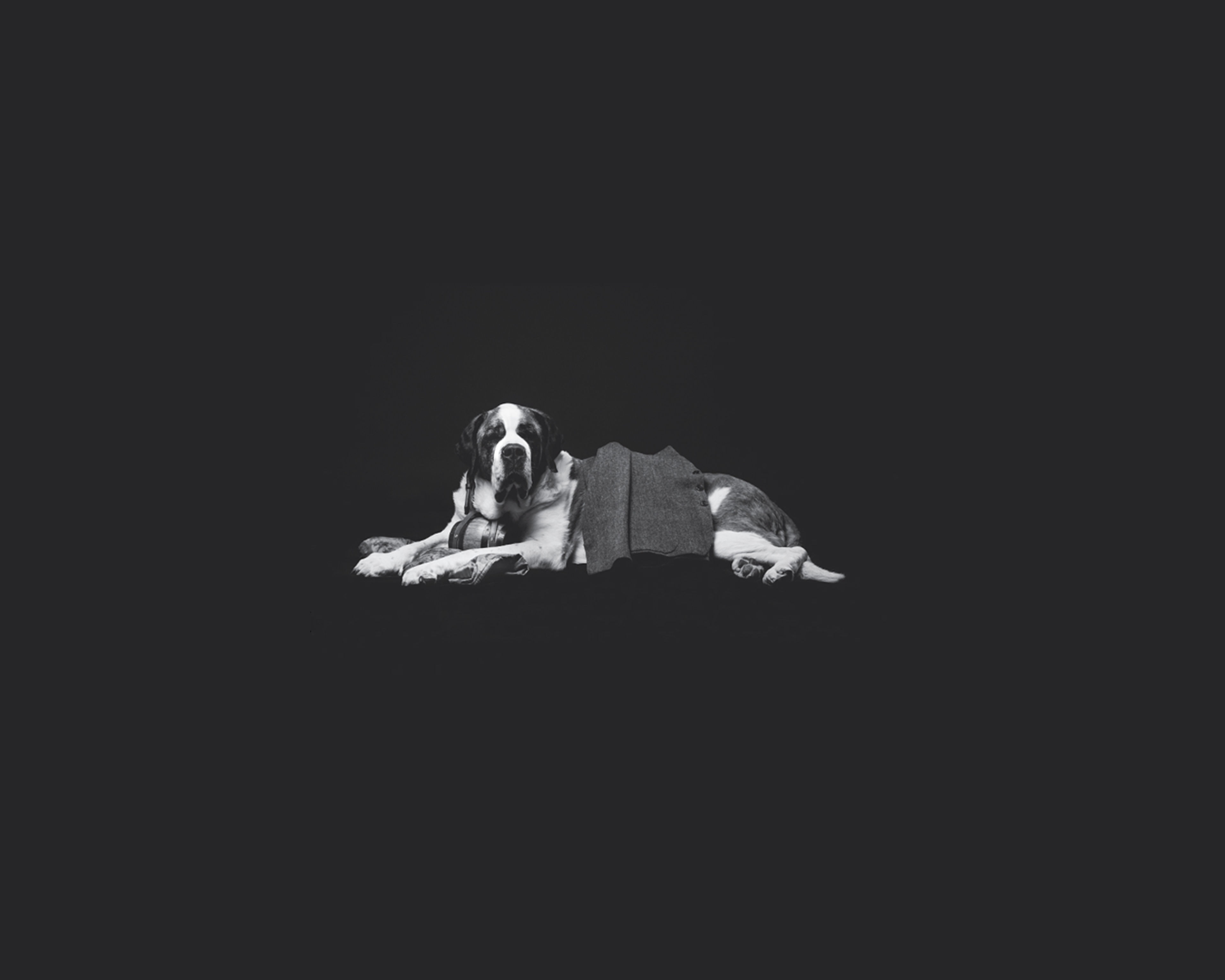 Berhardiner für Dr'Jope Veston