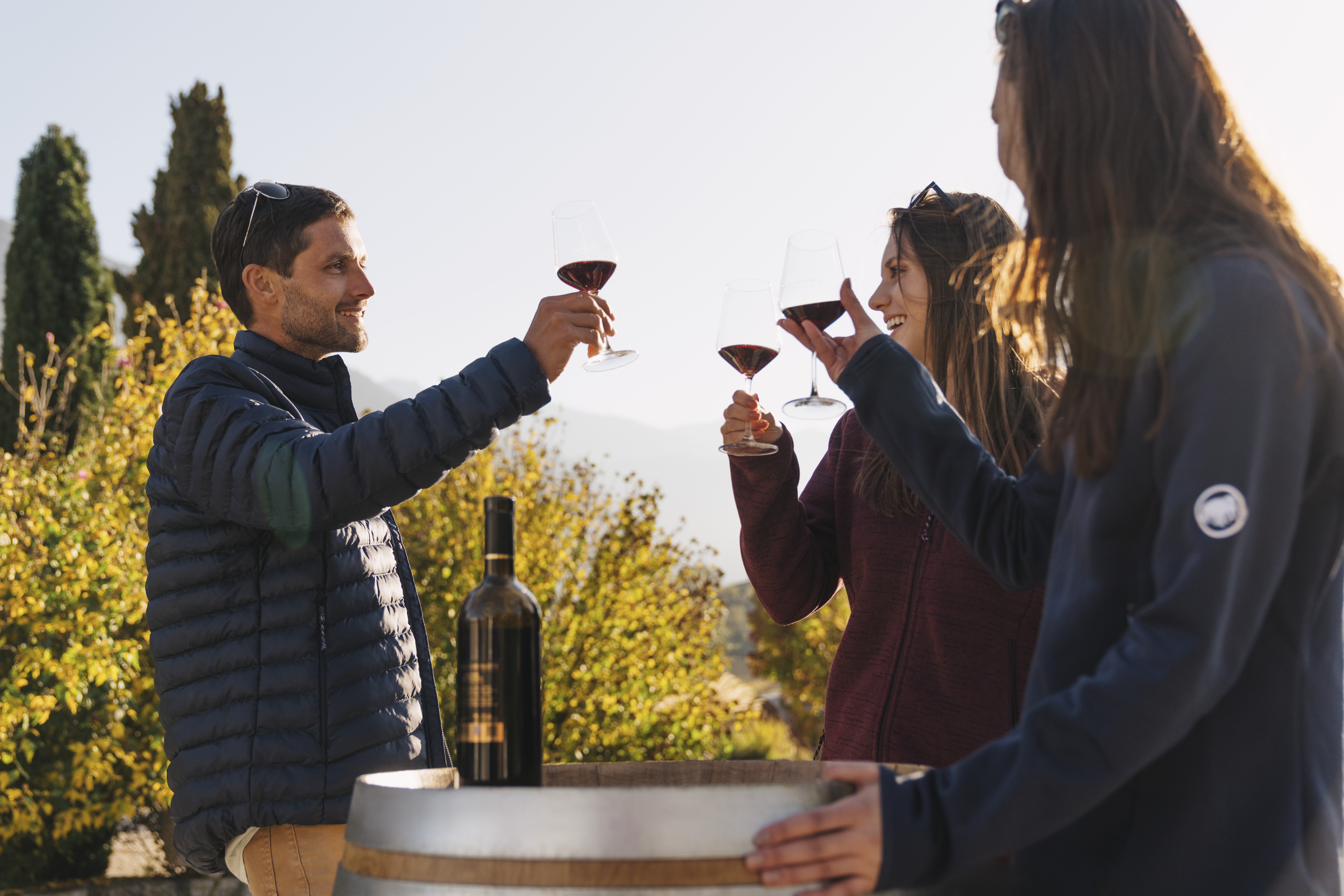 Trois personnes trinquent lors d’une dégustation de vins directement chez les producteurs à Salquenen, Valais, Suisse