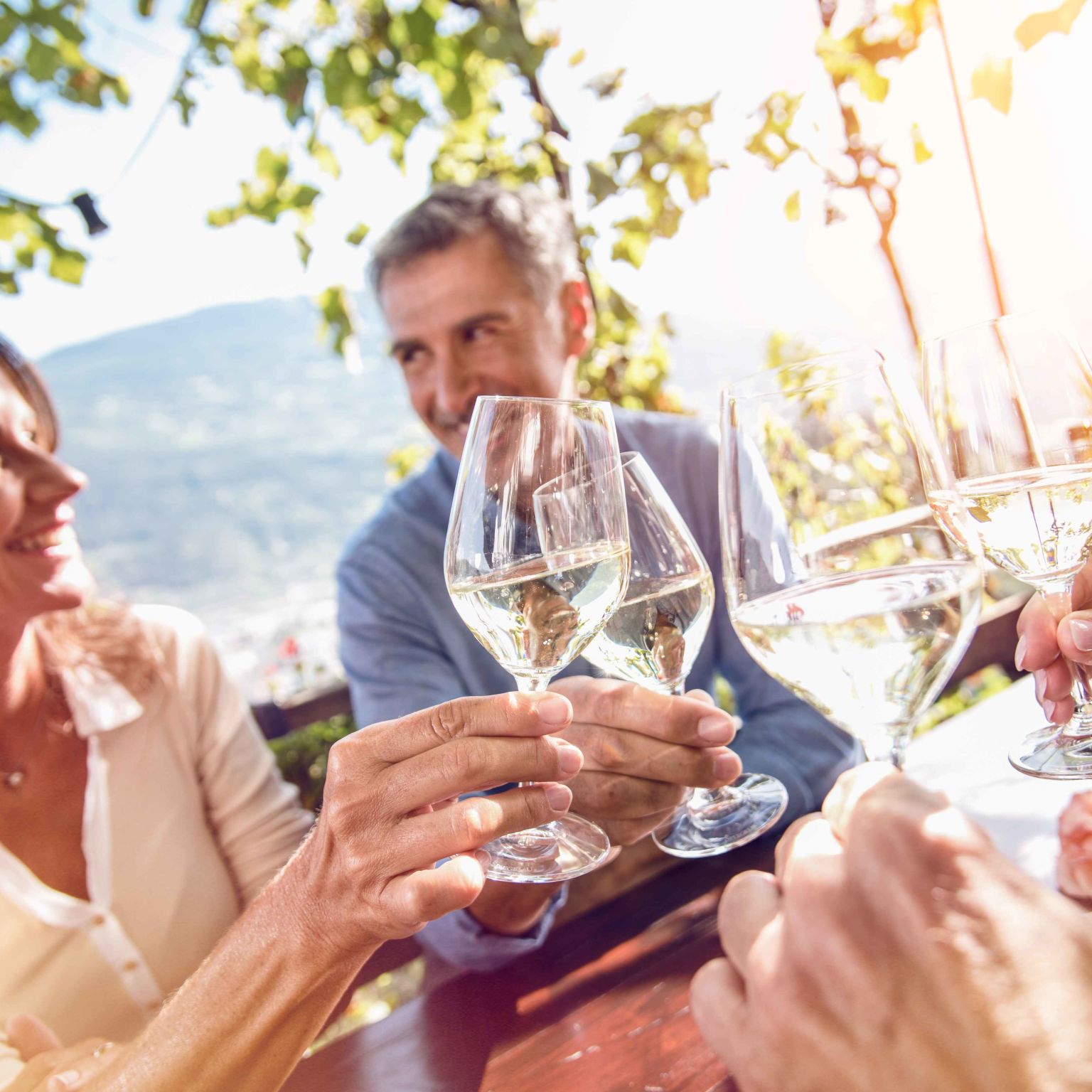 Freunde stoßen bei einem geselligen Beisammensein mit Weißwein an.  Wallis, Schweiz.
