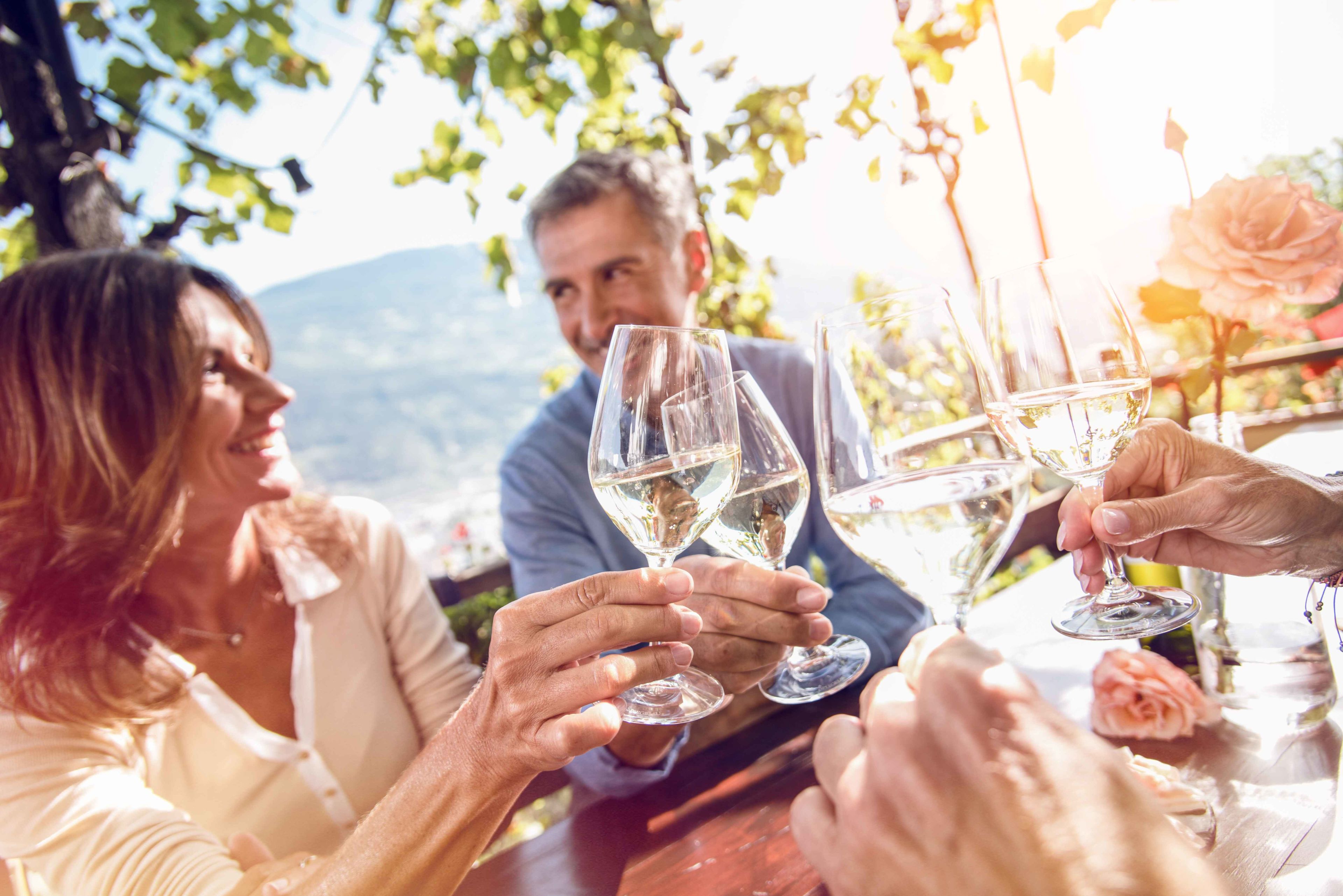 Freunde stoßen bei einem geselligen Beisammensein mit Weißwein an.  Wallis, Schweiz.