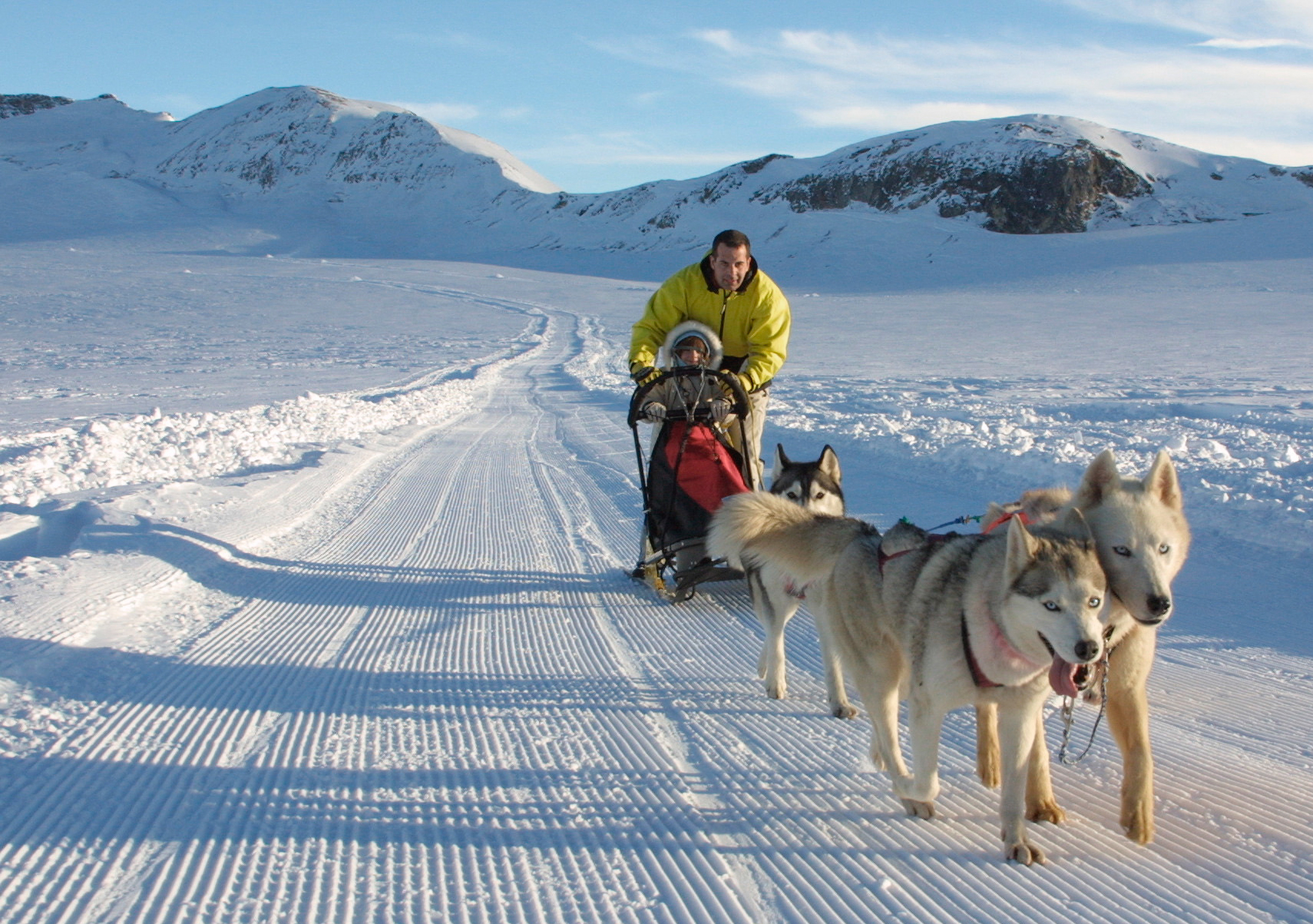 Dog Sledding, glaciers, Valais, Switzerland
