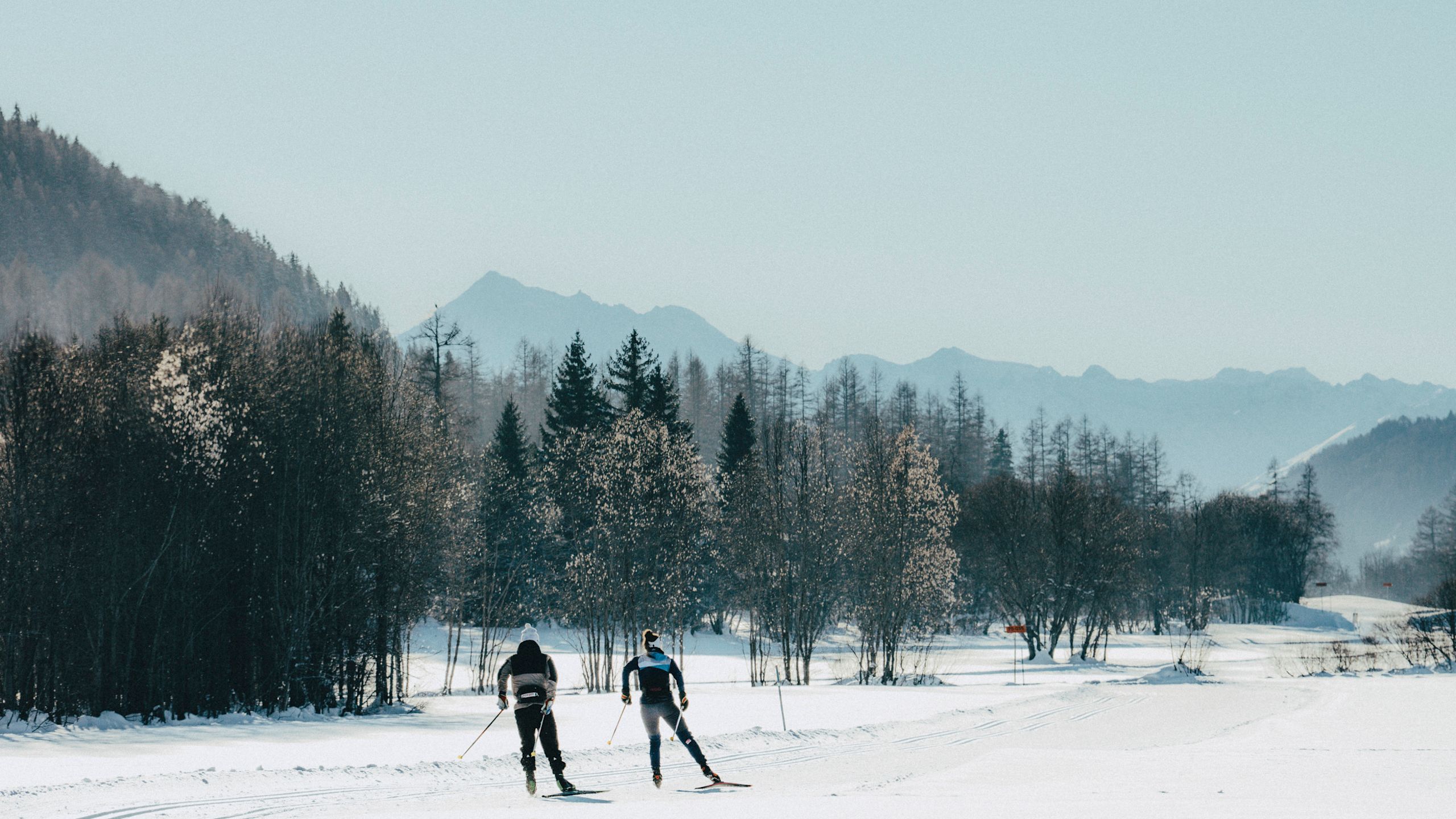 Zwei Langläufer gleiten durch die verschneite Ebene von Goms, umgeben von Bäumen und Bergen