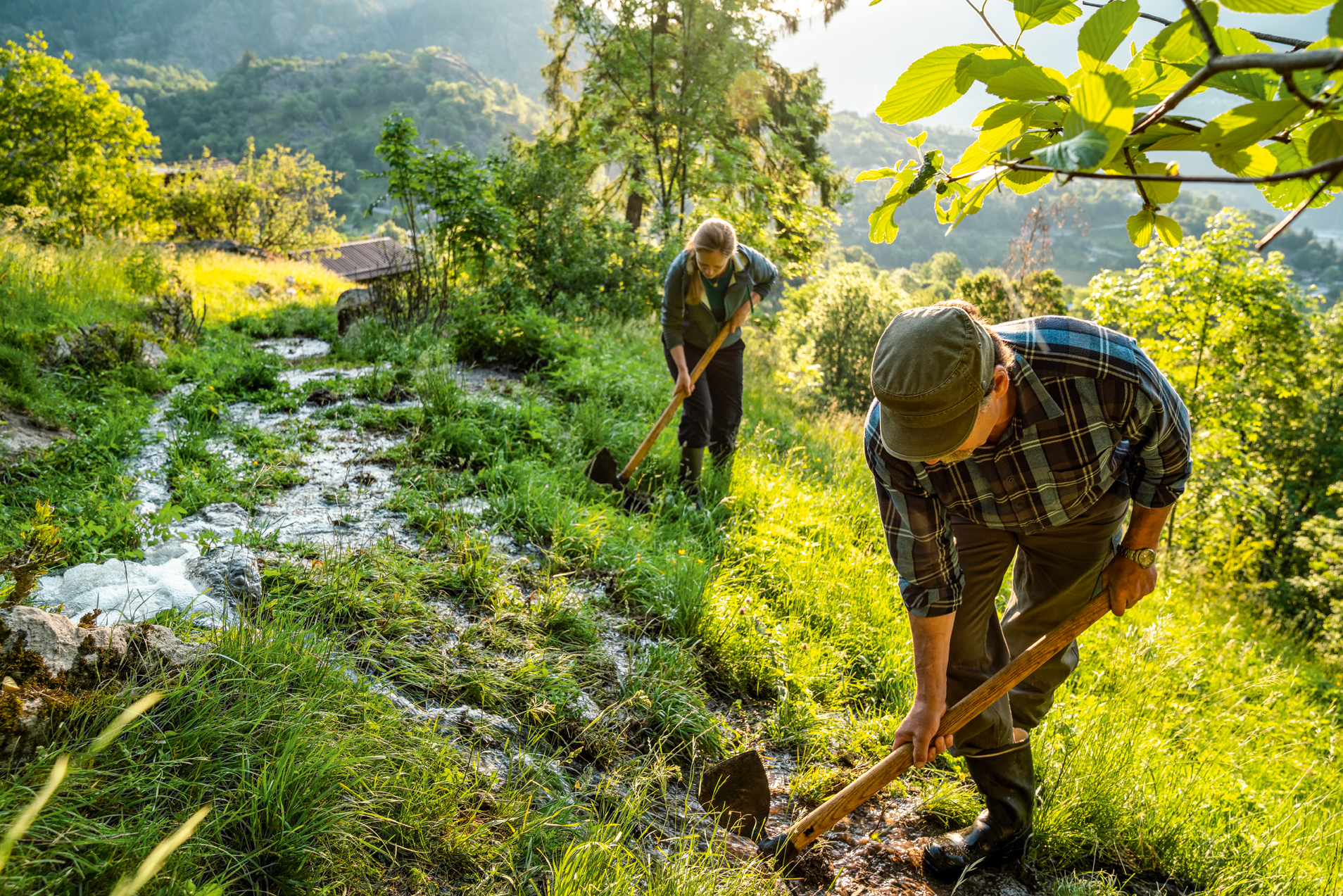 Famille d'agriculteurs biologiques Schmid irriguant leur champ en pente de manière traditionnelle.