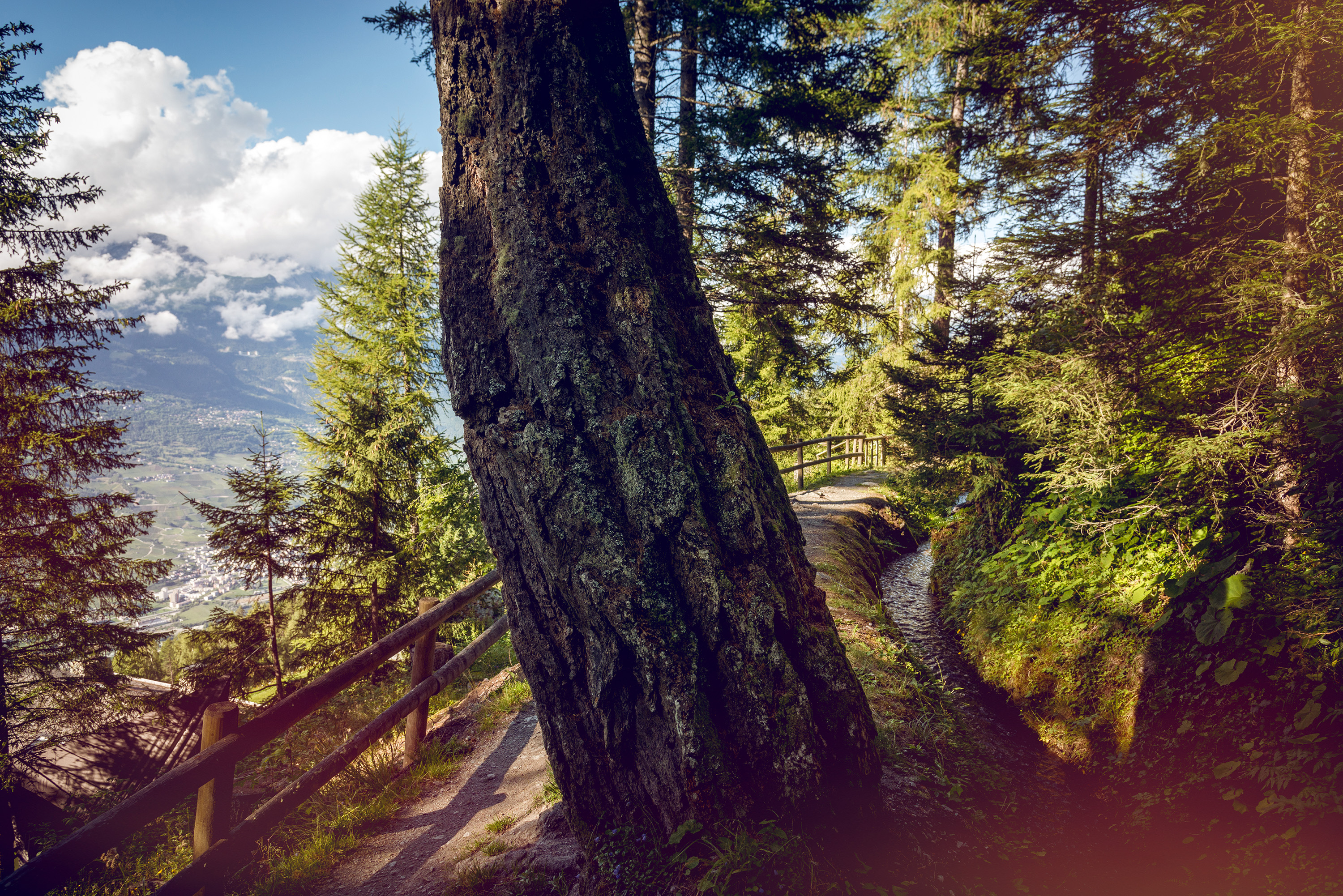 Ein malerischer Waldweg entlang der Suone von Vercorin im Val d'Anniviers, mit einem Bach und Bergblick. Sommer im Wallis, Schweiz