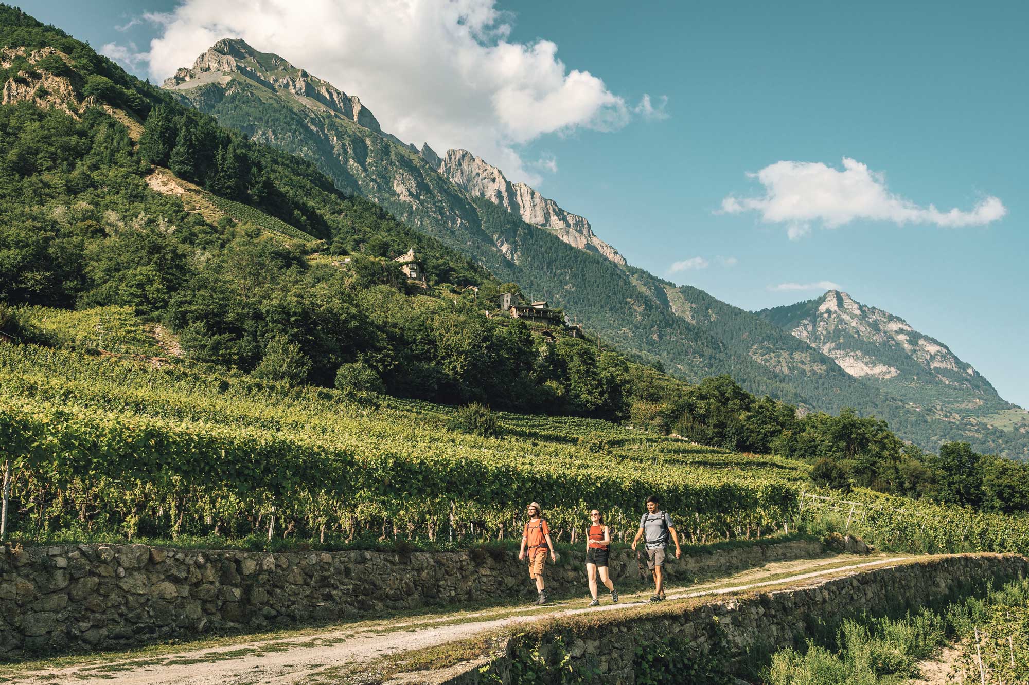 Walk in the vineyards with the mountains. Fully, Valais, Switzerland