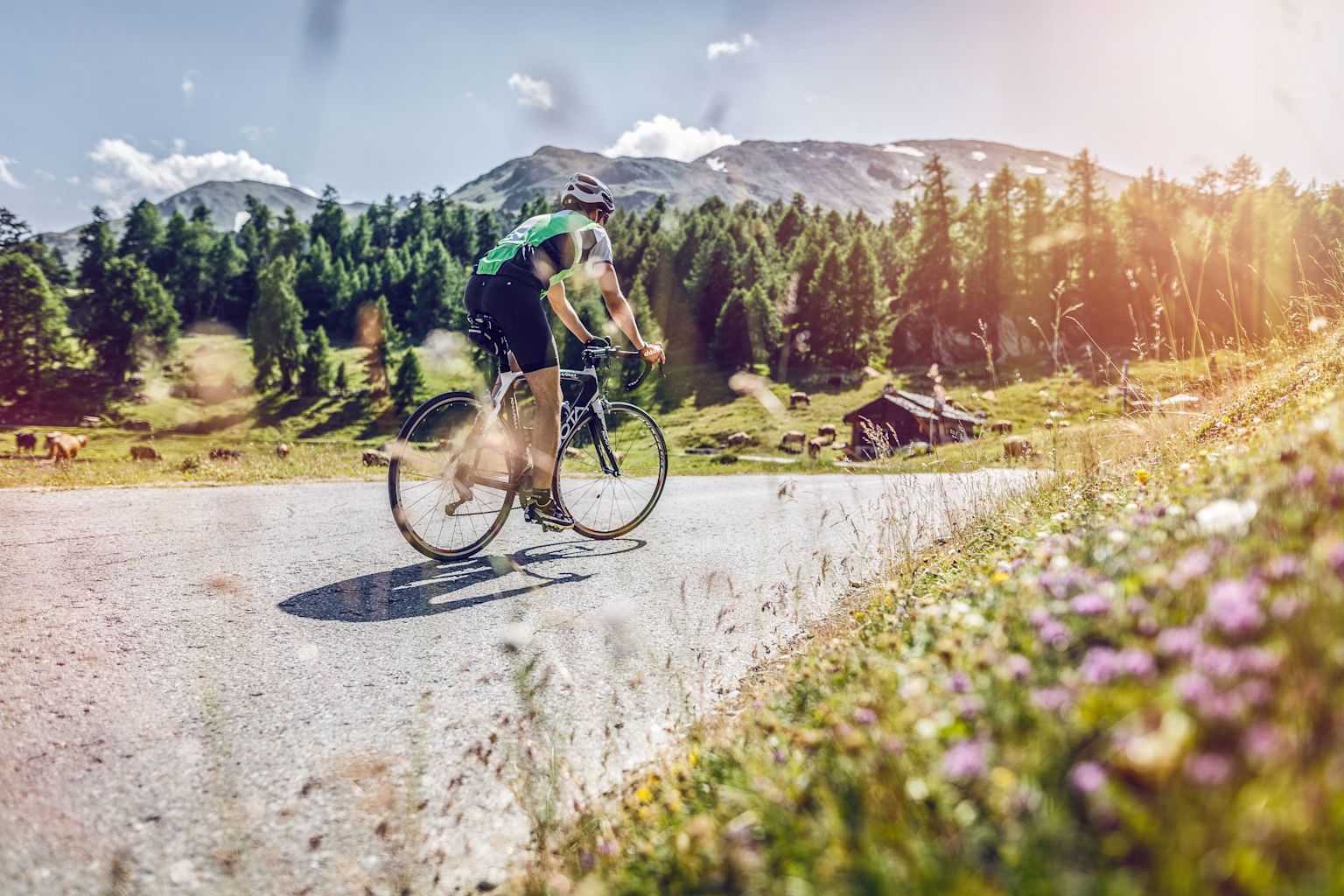 Cyclist on the Moosalp road with the forest and the mountains behind. Valais Switzerland