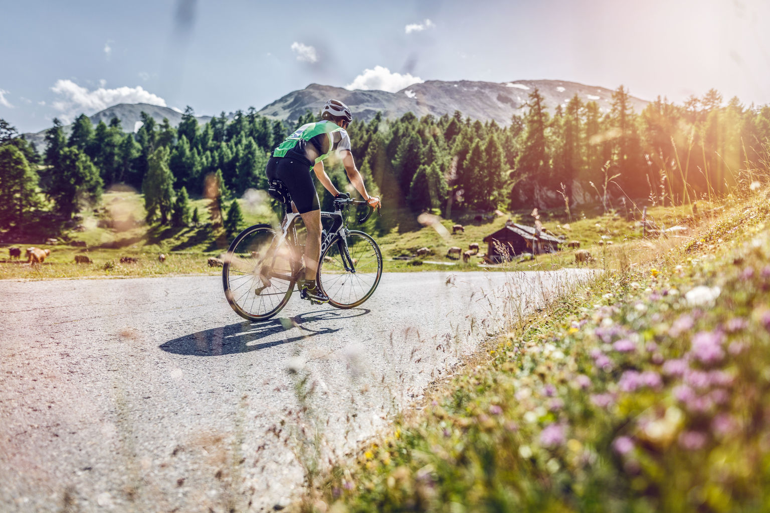 Cycliste sur la route de la Moosalp avec la fôret et les montagne derrière. Valais Suisse