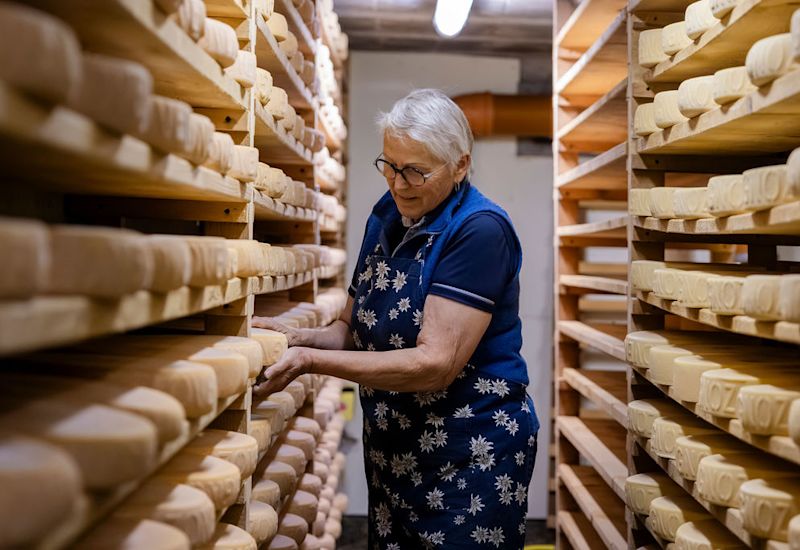 Lise Es-Borrat, a farmer in Val d’Hérens, tending raclette cheese and tommes in the cheese cellar of Loveignoz pasture