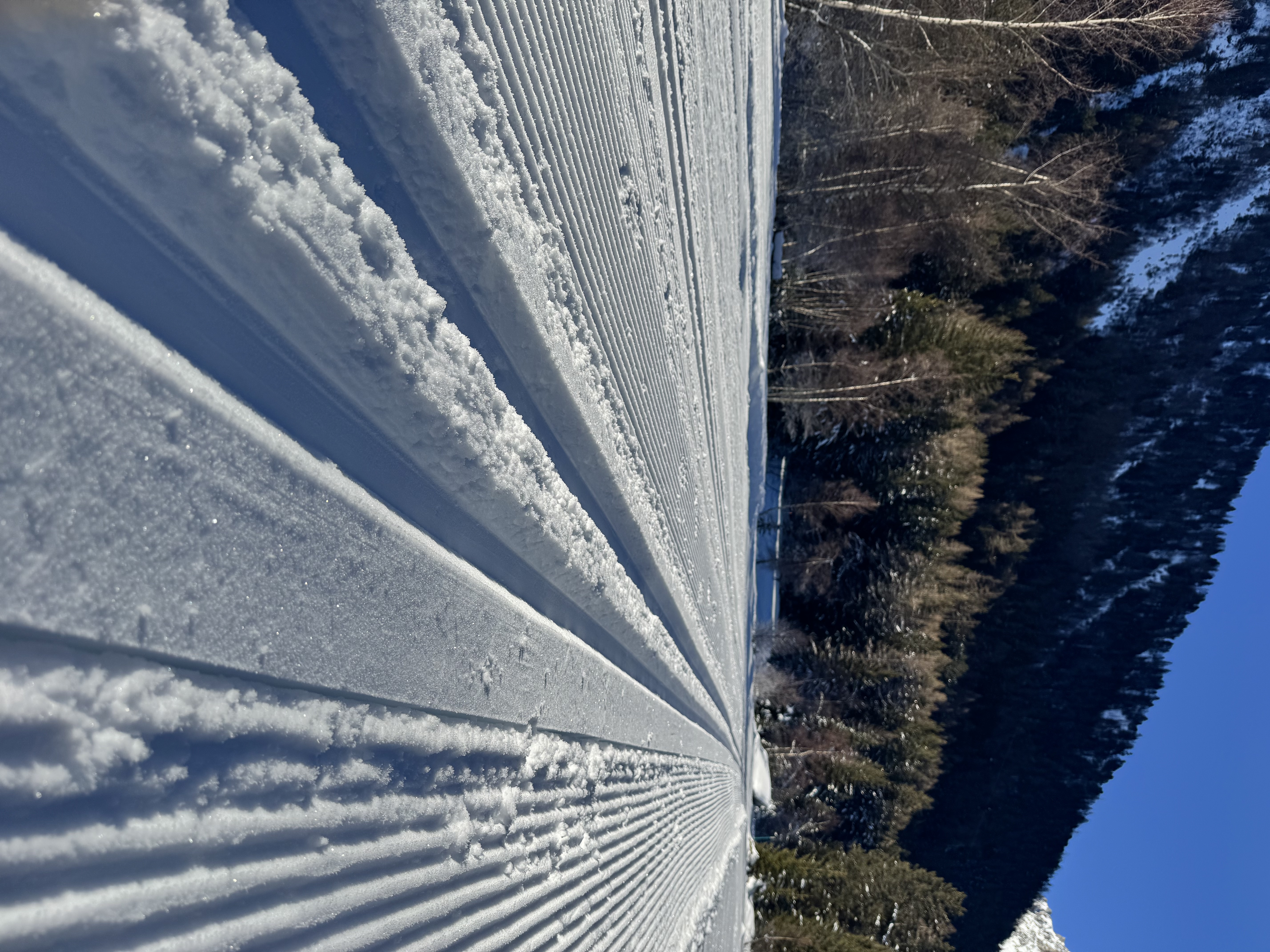 Sunny cross-country ski trails - Champex-Lac