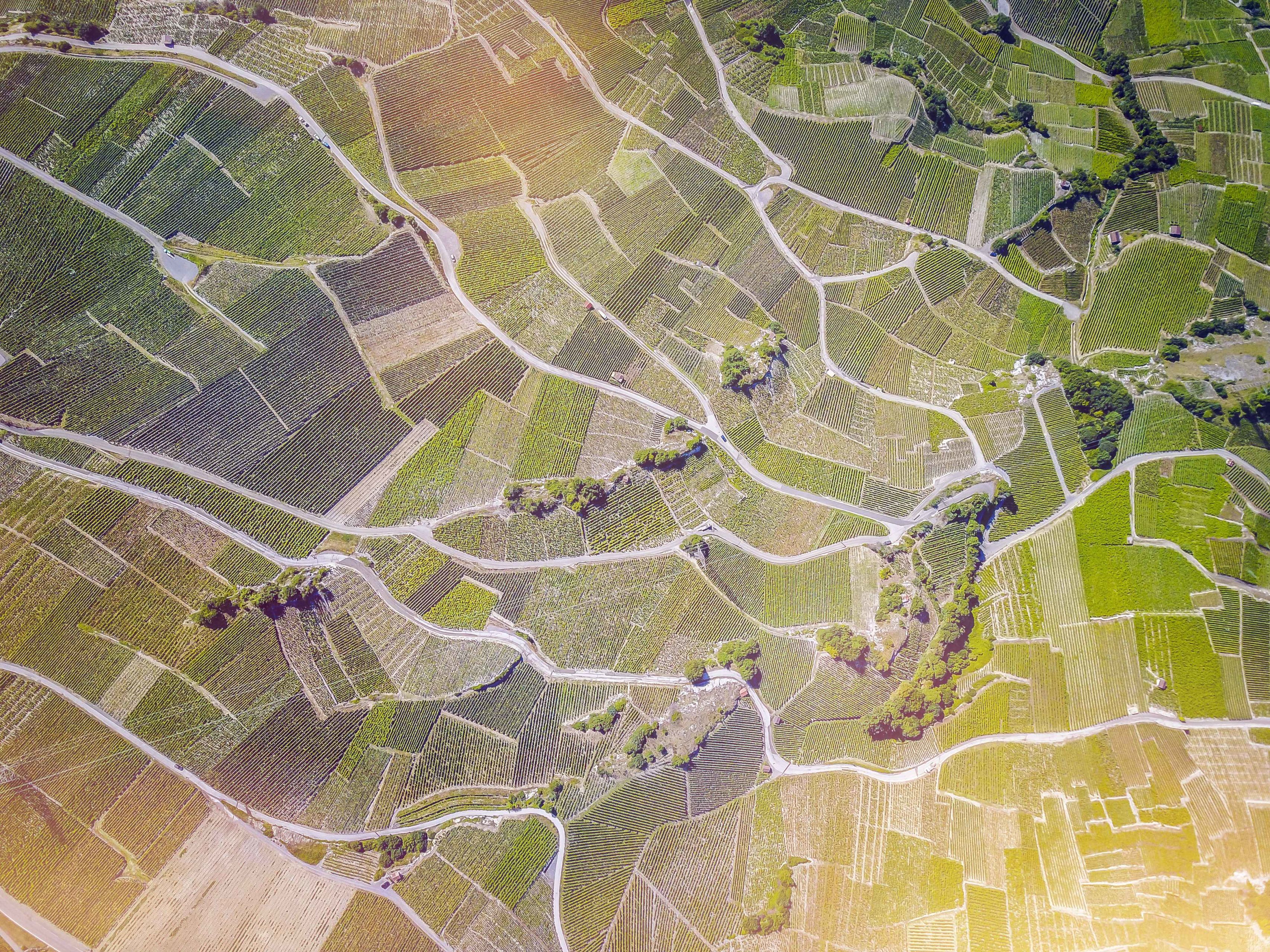 Vue aérienne du vignoble valaisan avec les différentes parcelles, Valais Suisse