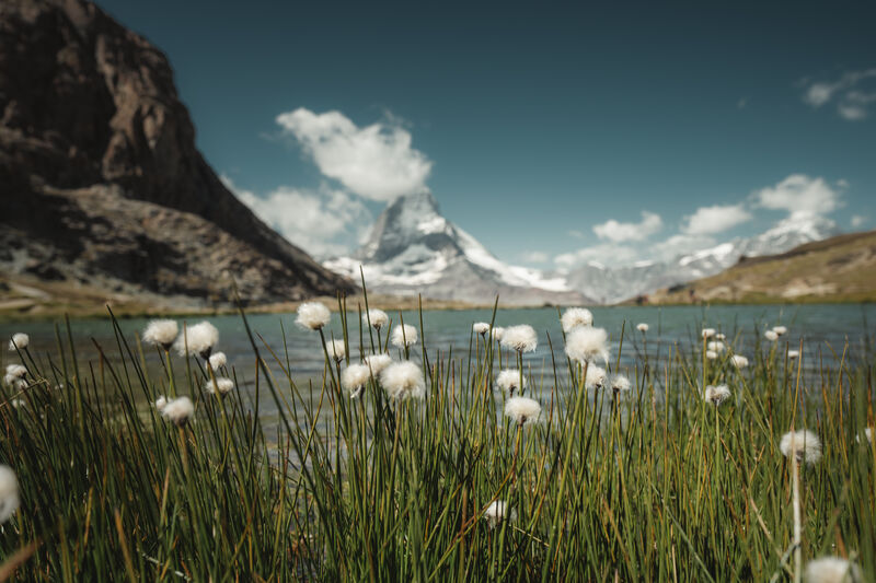 Randa | Valais Switzerland