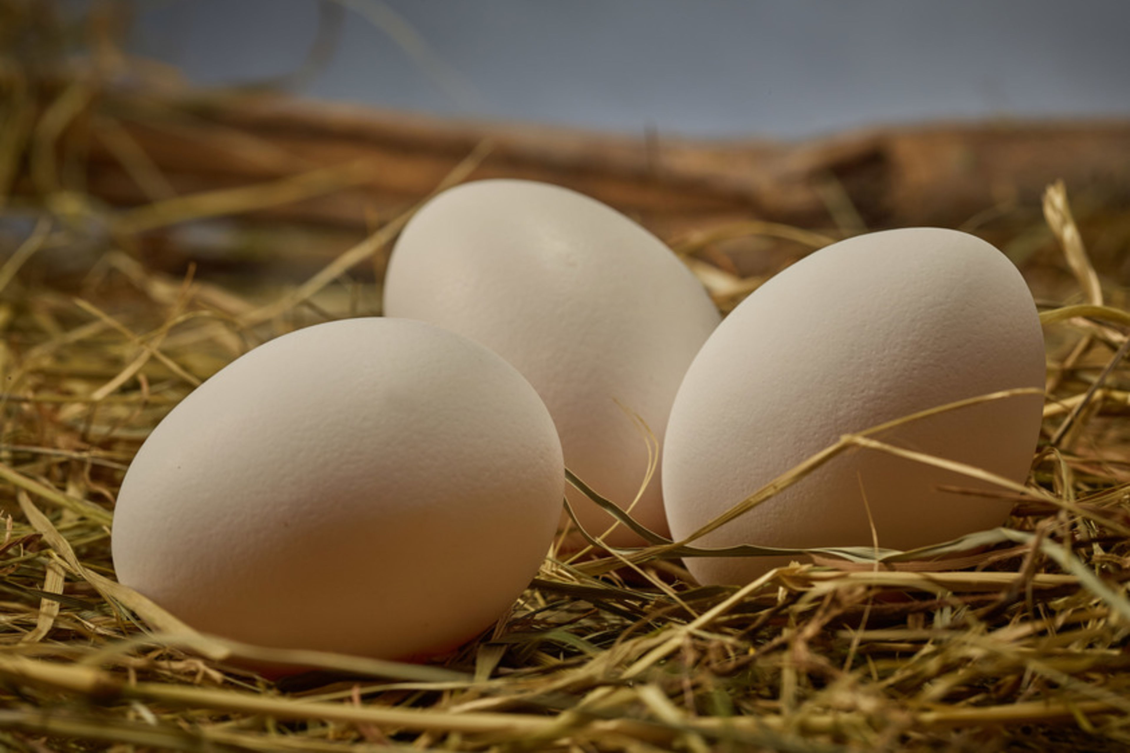 Das Familienunternehmen wurde 1976 gegründet. Es zieht seine eigenen Legehennen auf und verpackt nebst deren Eiern auch jene aus anderen lokalen Hühnerhaltungen, Wallis, Schweiz