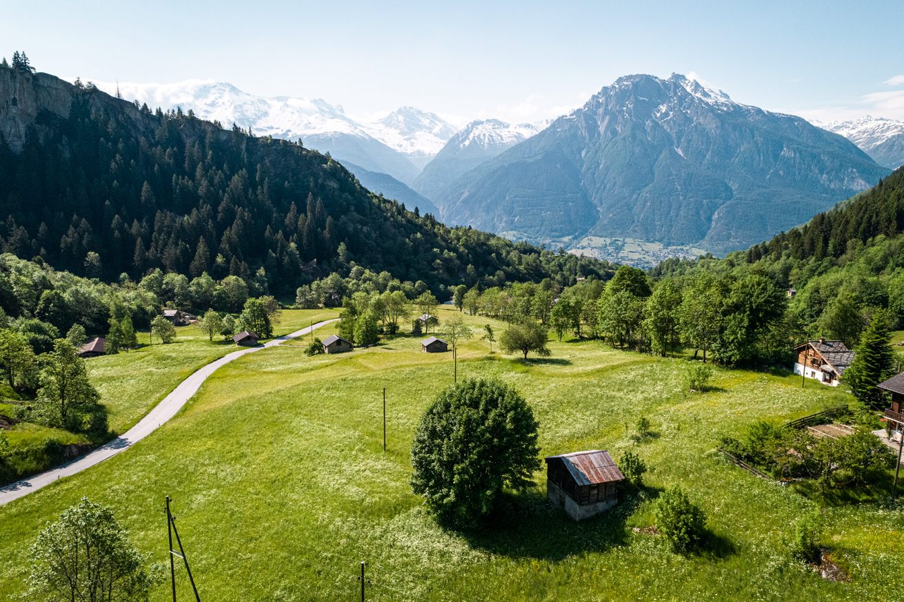 Prairies irriguées près de Naters.