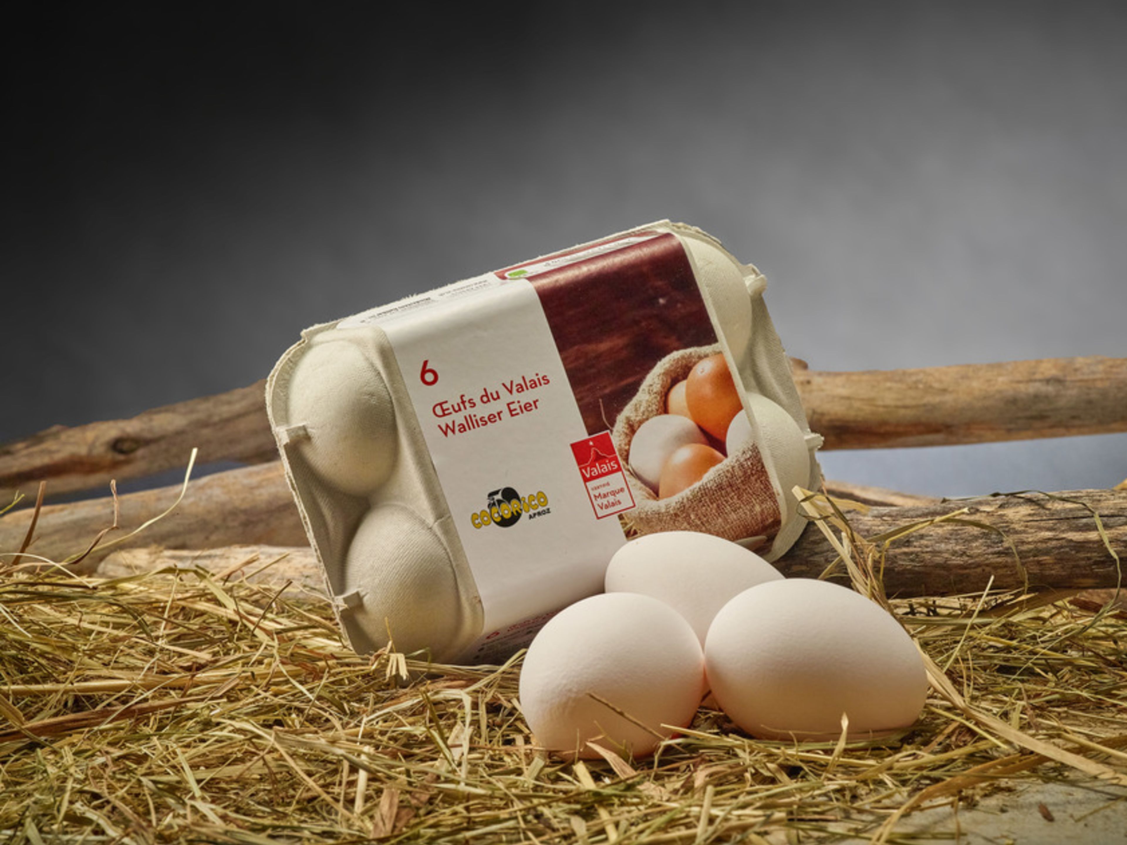 Egg Valais brand Wallis Schweiz Switzerland Suisse