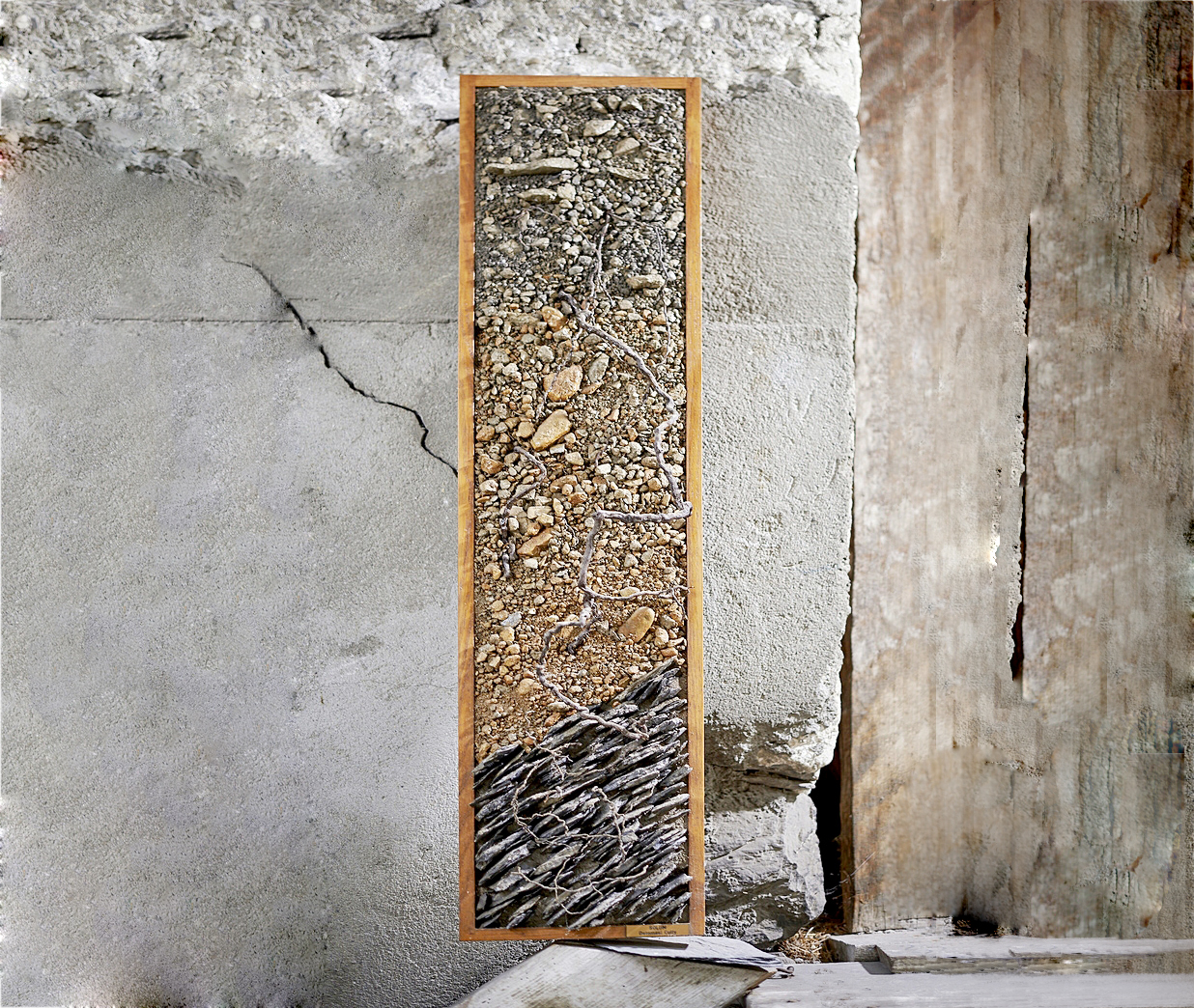 Sols de cultivation de l'amigne de Vétroz, Valais