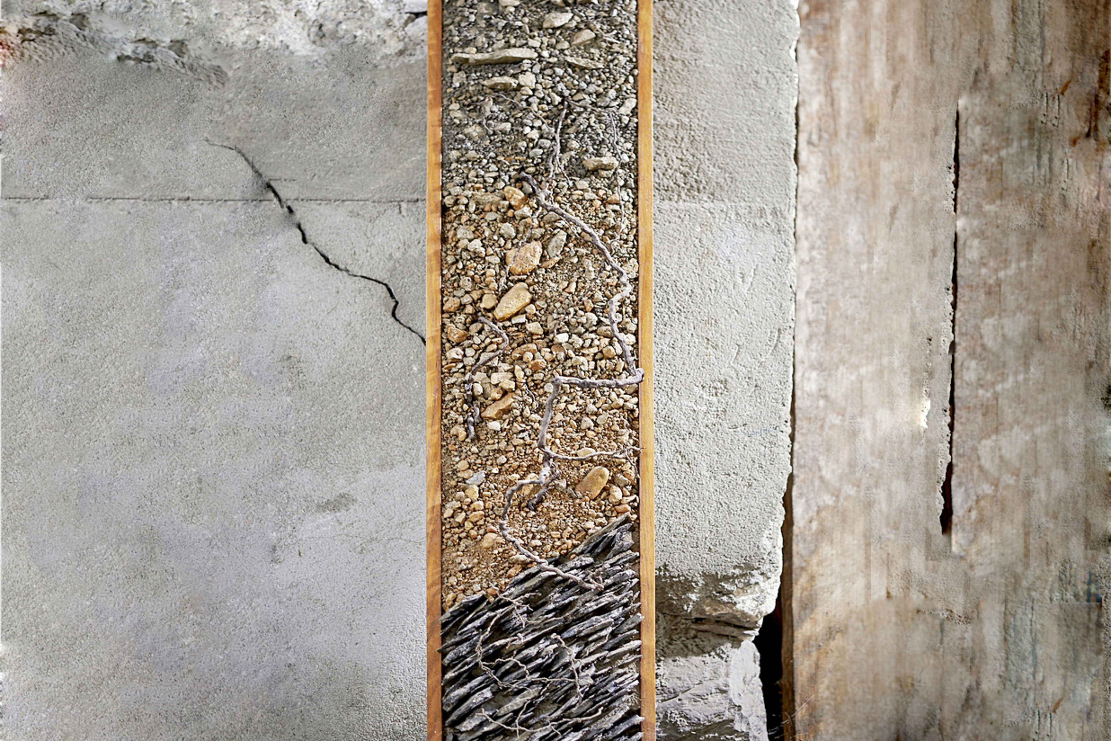 Sols de cultivation de l'amigne de Vétroz, Valais