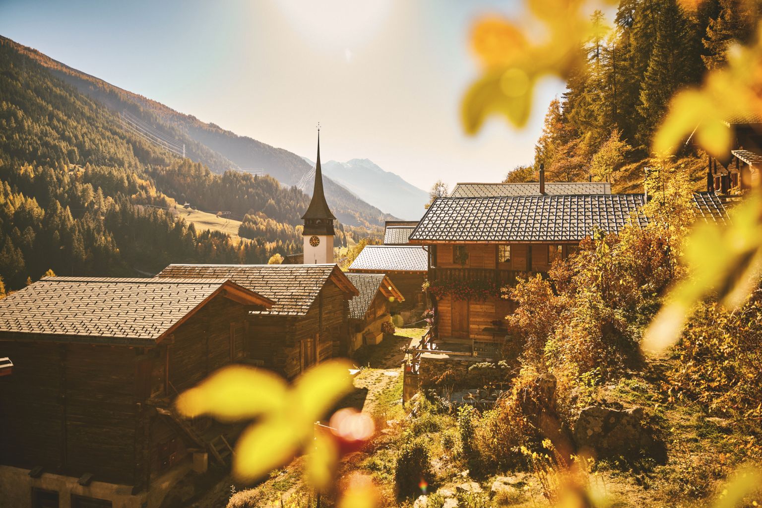 Le Niederwald est situé dans le parc naturel régional de Binntal, en Valais, en Suisse.