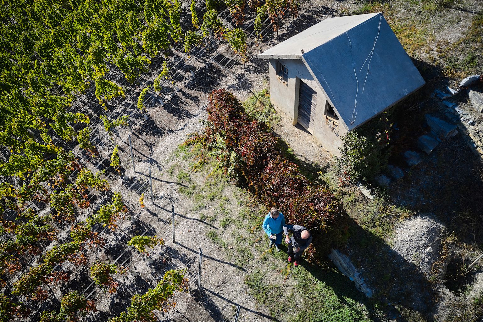 Madeleine and Jean-Yves Mabillard-Fuchs at work in their cellar in Venthône
