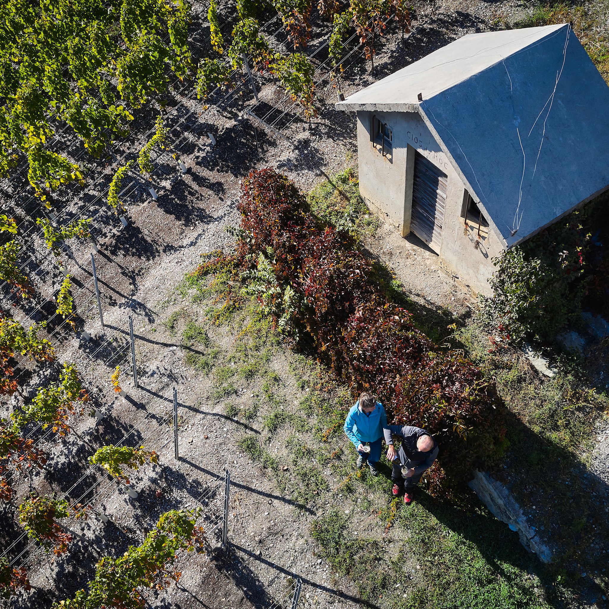 Madeleine and Jean-Yves Mabillard-Fuchs at work in their cellar in Venthône