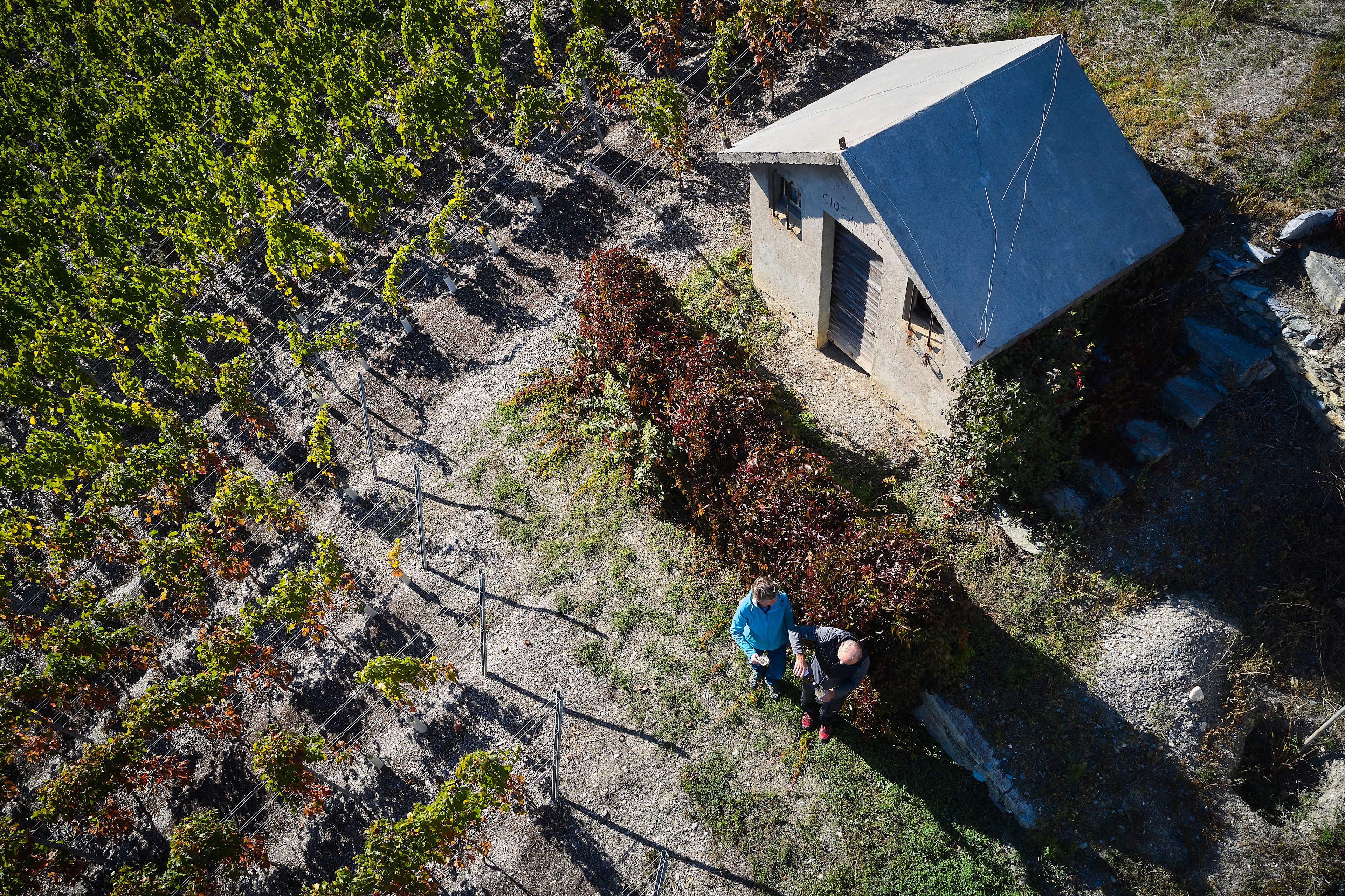 Madeleine and Jean-Yves Mabillard-Fuchs at work in their cellar in Venthône