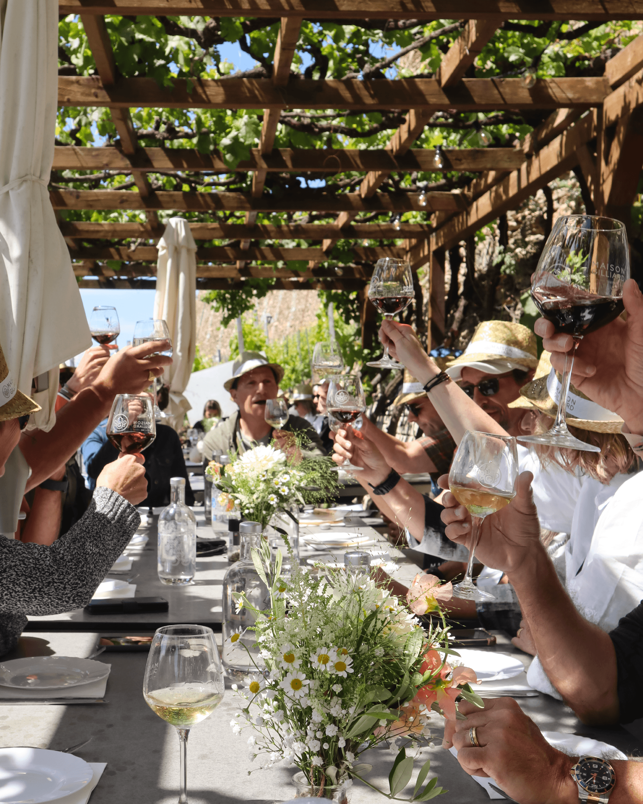 People enjoying a wine tasting at Maison Gilliard in Sion in summer, Valais, Switzerland