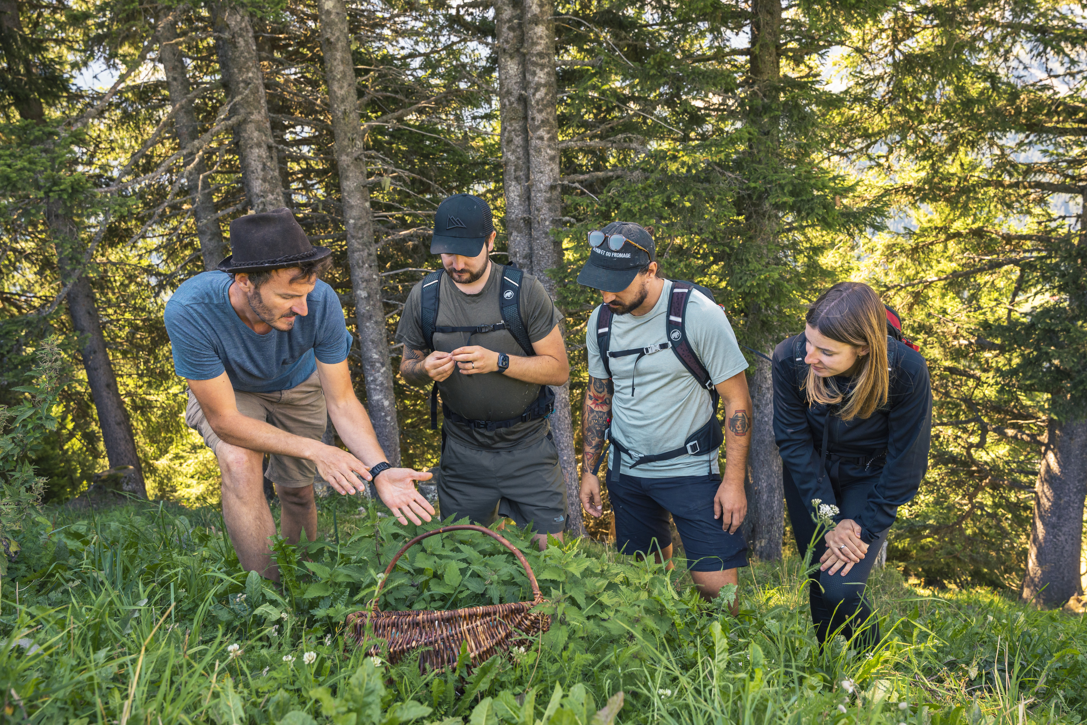 Guillaume Besson explaining to his guests the different plants found in the forest. Valais, Switzerland.