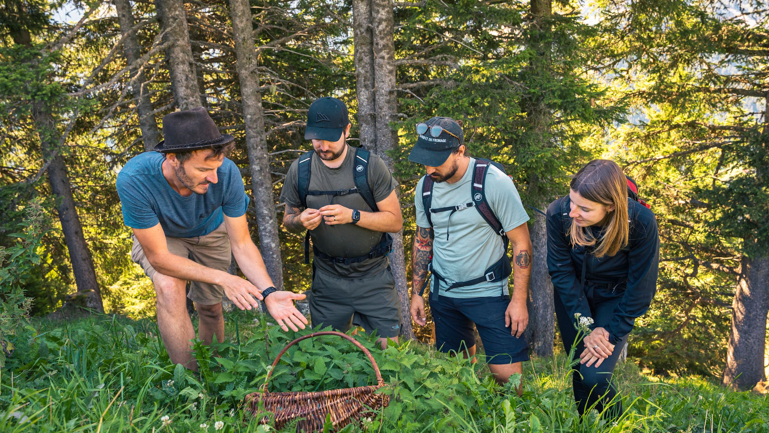Guillaume Besson expliquant à ses hôtes les différents plantes qui se trouvent en forêt. Valais, Suisse