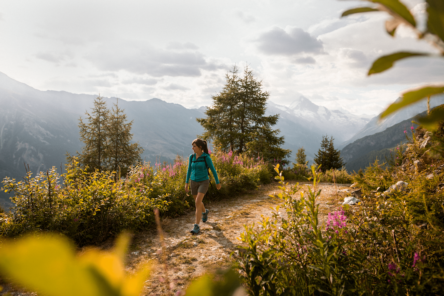 Wandern, Alp Mandelon, Val d'Hérens, Wallis, Schweiz